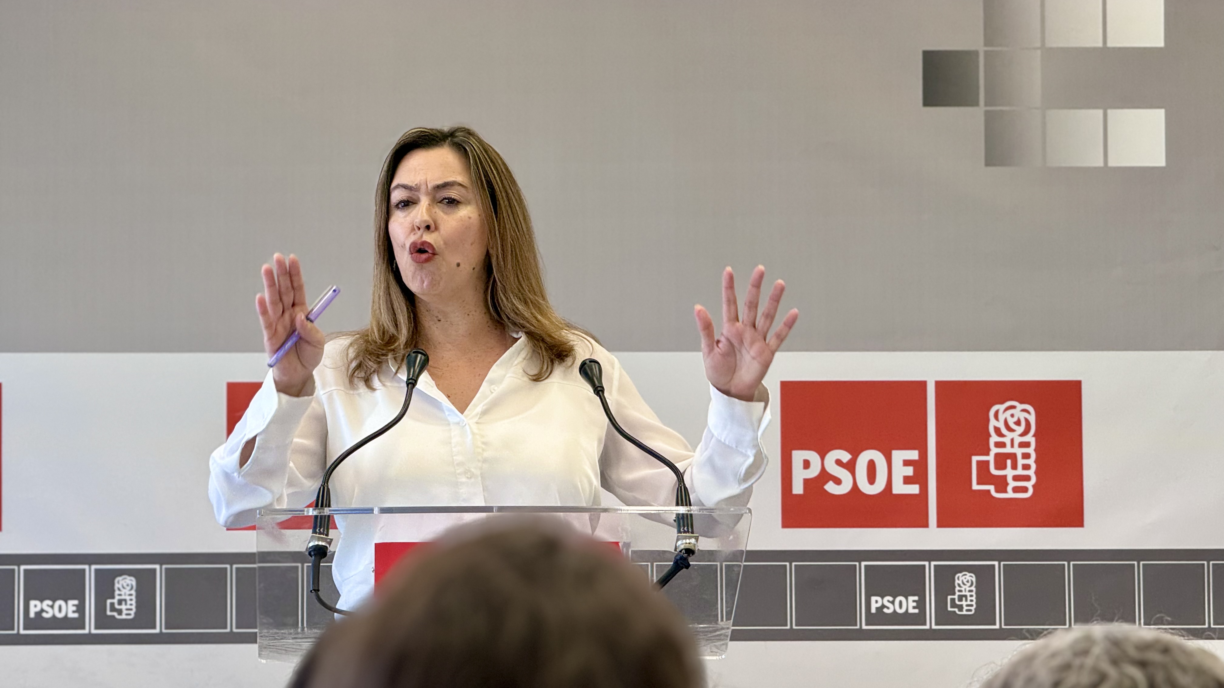 La secretaria insular del PSOE de Lanzarote y diputada en el Congreso, María Dolores Corujo.