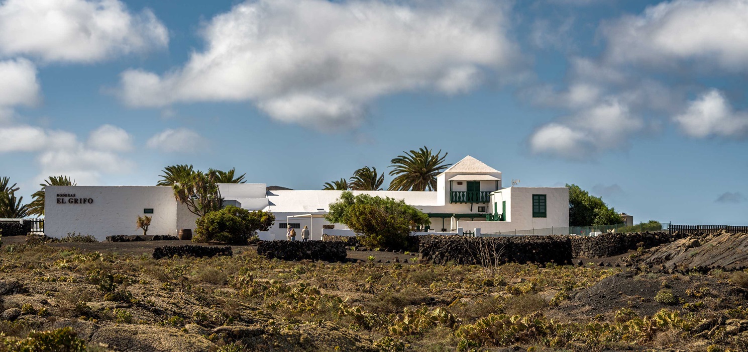 Bodegas El Grifo