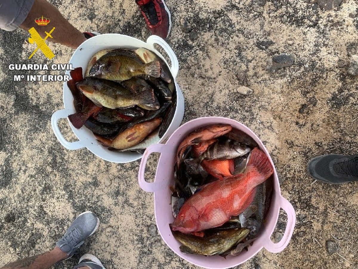 Pillan a tres pescadores furtivos con 55 kilogramos de pescado en la Reserva Marina de Lanzarote.