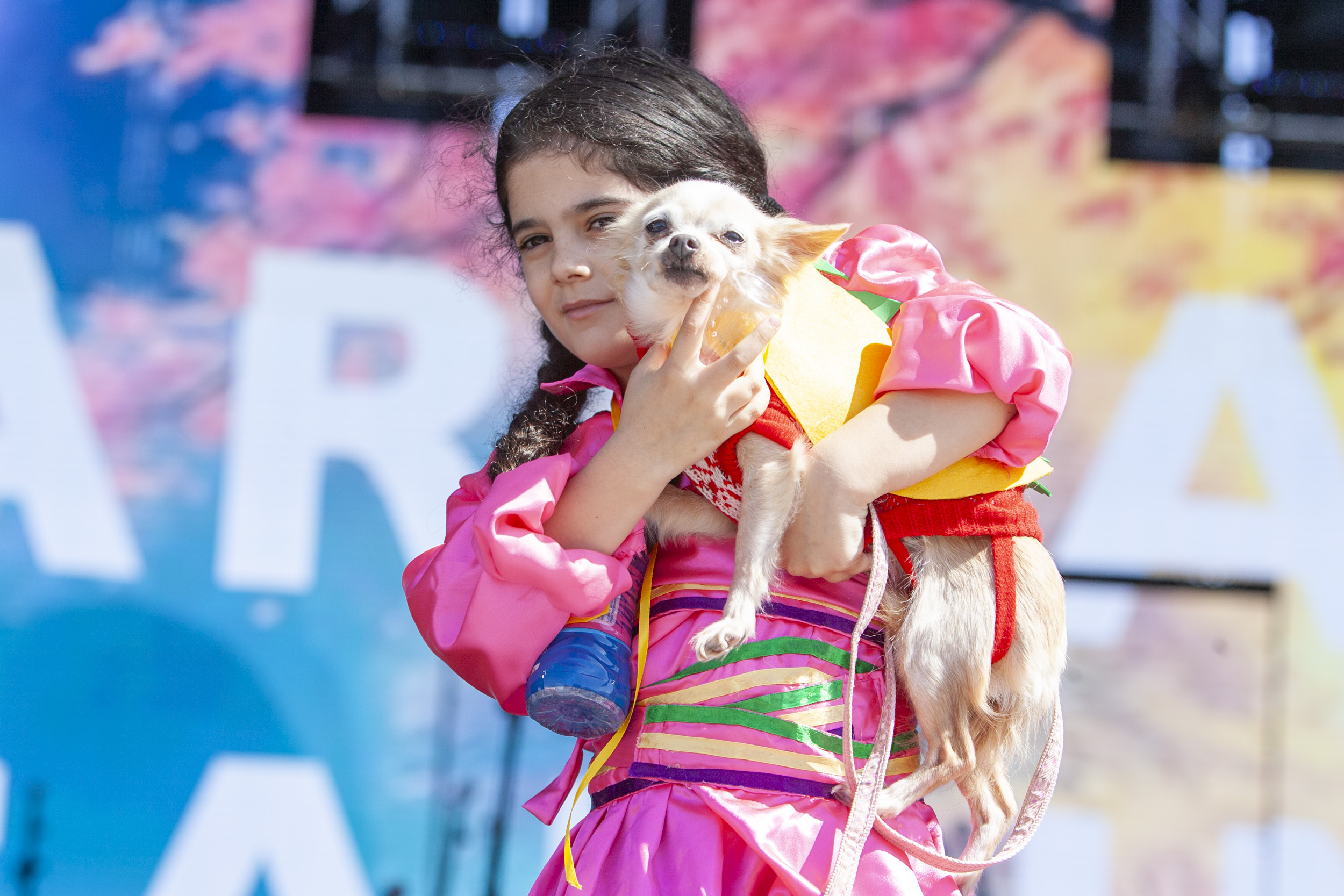 Concurso canino de carnaval, Arrecife 2025 (Fotos: Juan Mateos) Concurso canino de carnaval, Arrecife 2025 (Fotos: Juan Mateos)