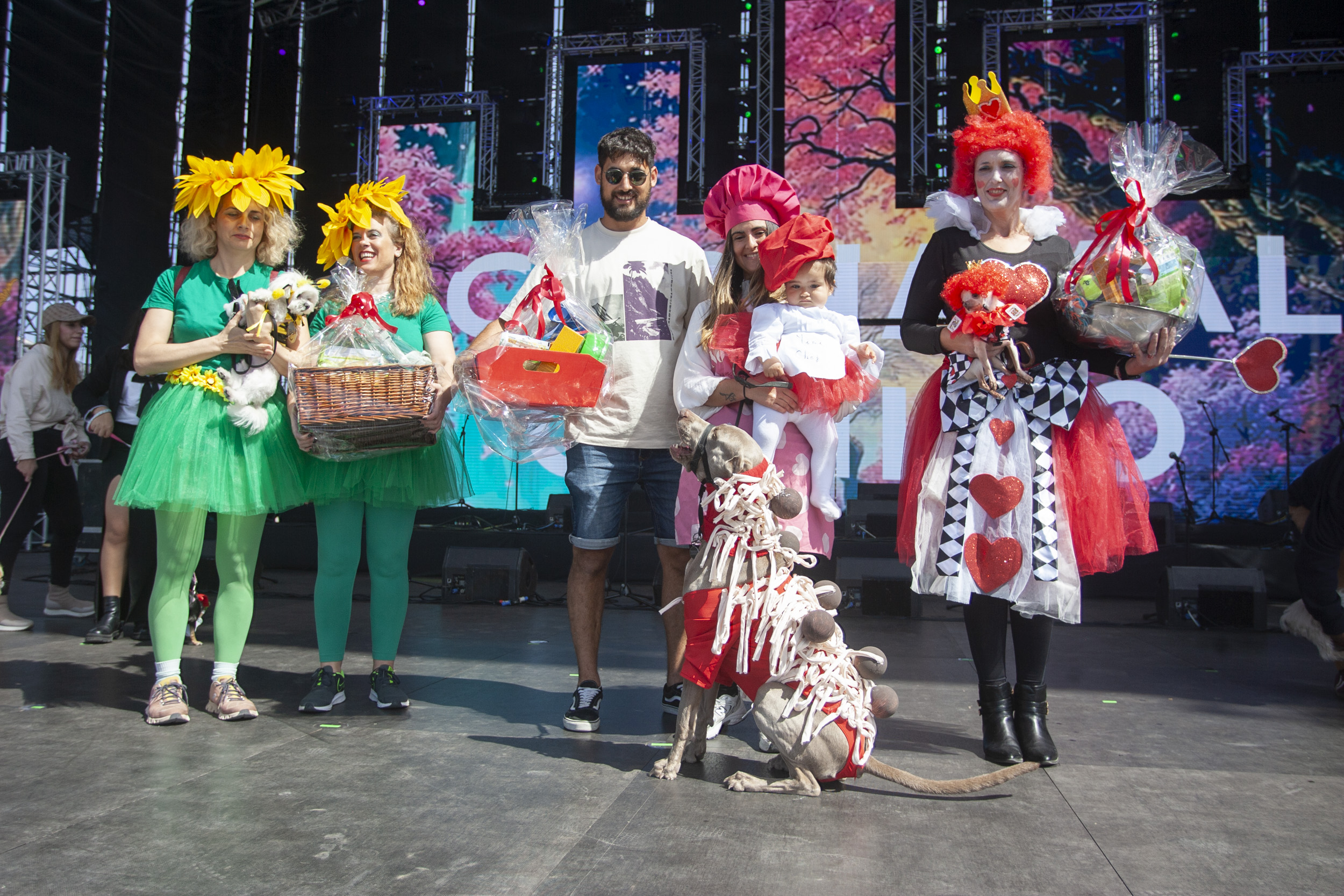 Concurso canino de carnaval, Arrecife 2025 (Fotos: Juan Mateos)