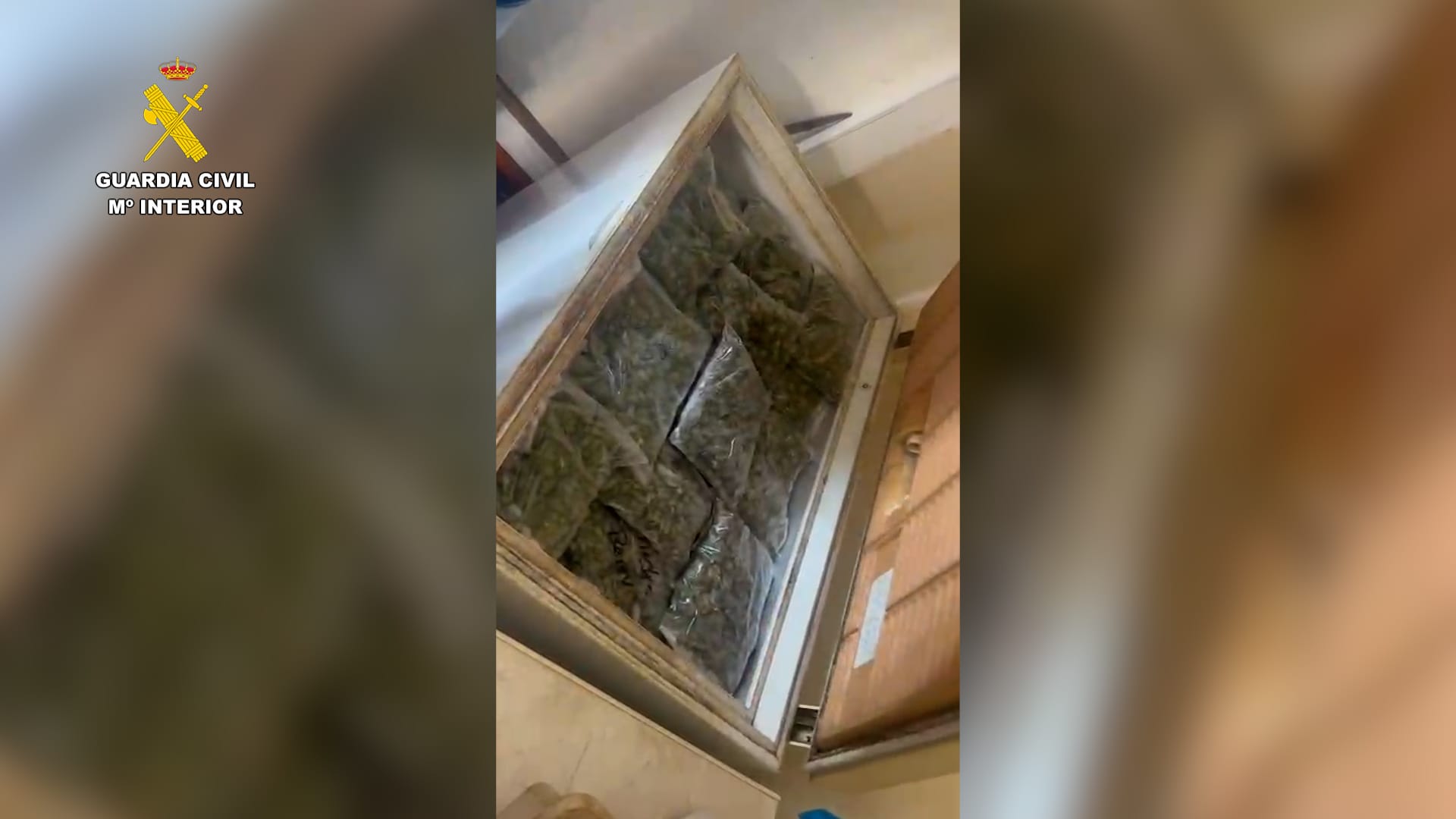 Detención por cultivar marihuana en Tahíche. Detención por cultivar marihuana en Tahíche.