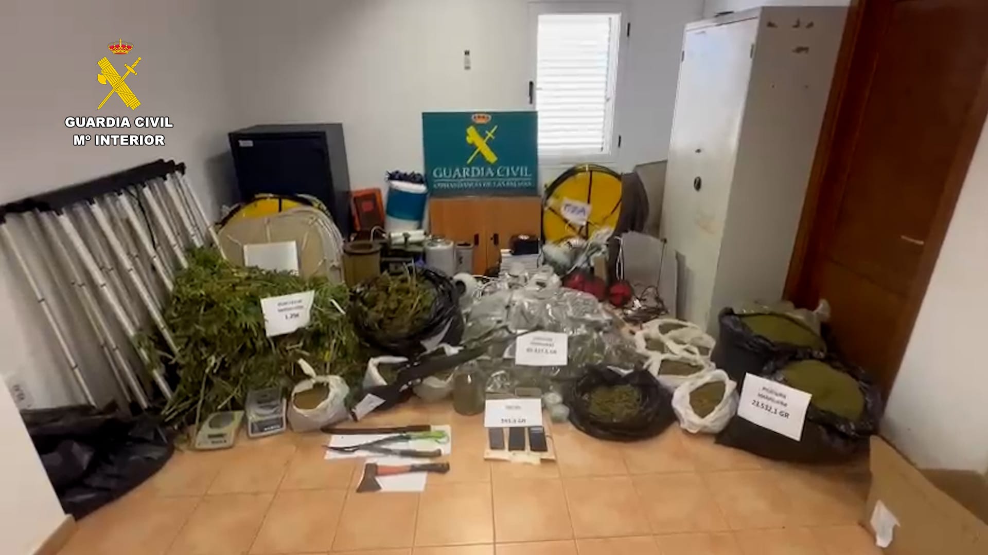 Detención por cultivar marihuana en Tahíche. Detención por cultivar marihuana en Tahíche.