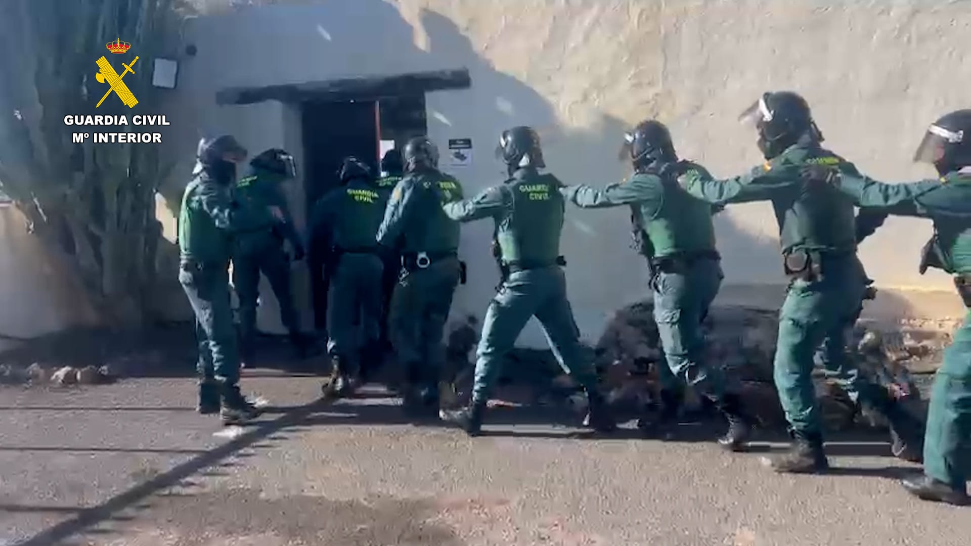 Detención por cultivar marihuana en Tahíche.