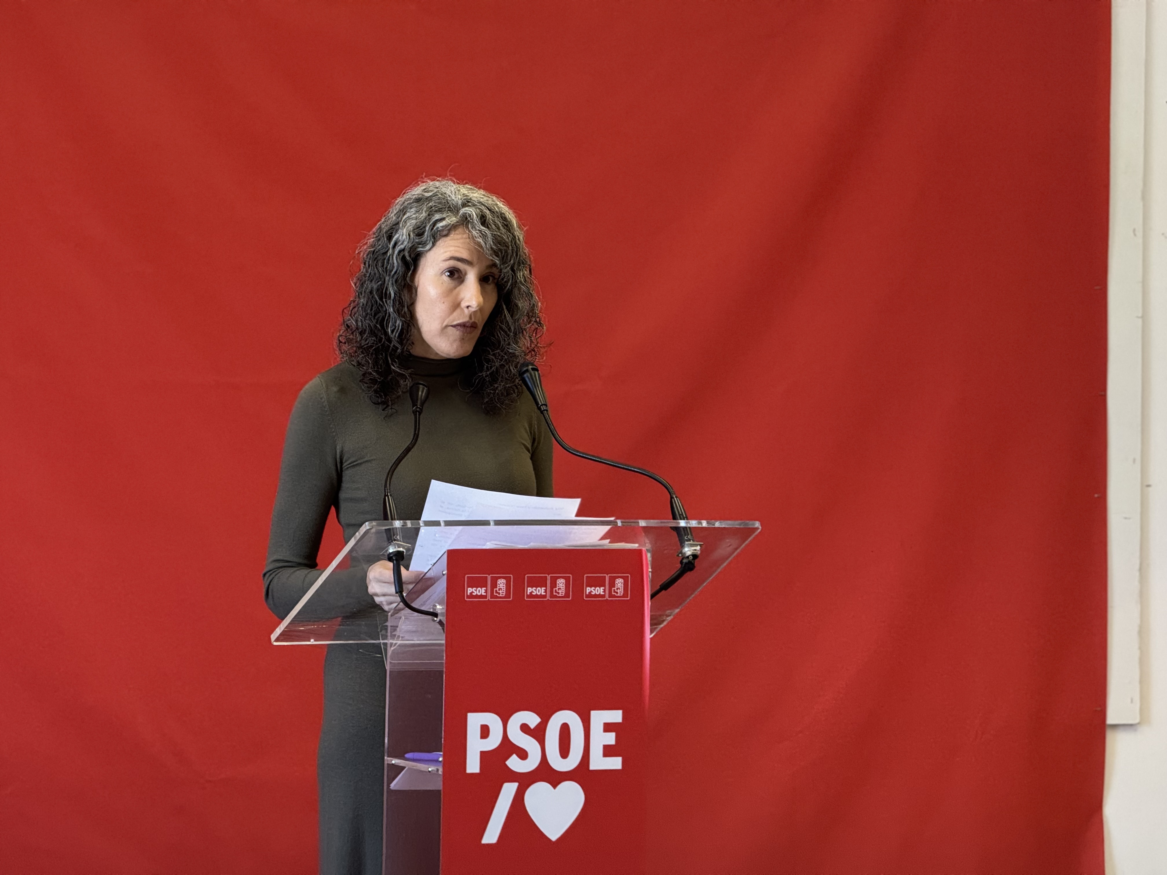 La consejera del PSOE, Ariagona González.