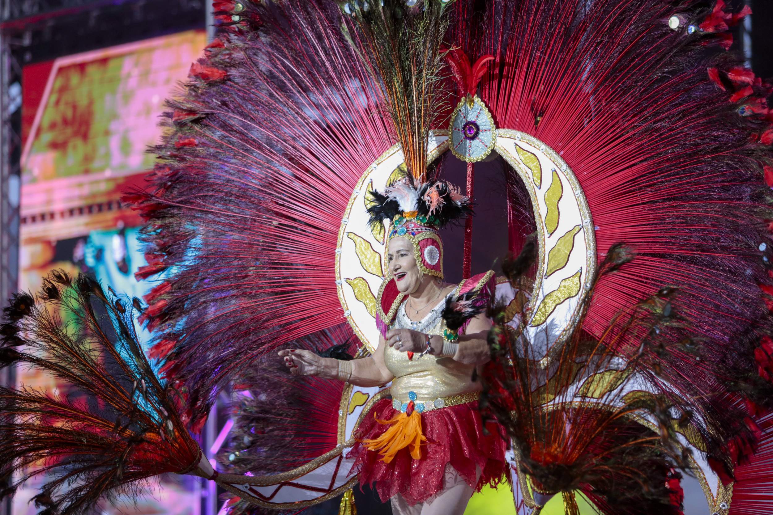 Gala Reina Soberana del Carnaval, 2025 (Fotos: Juan Mateos )