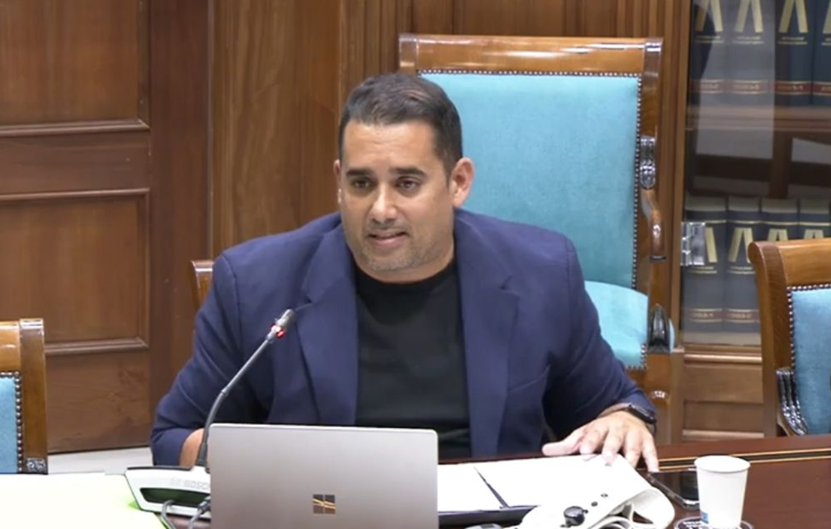 Yoné Caraballo en la comisión de sanidad del pasado viernes 28 febrero