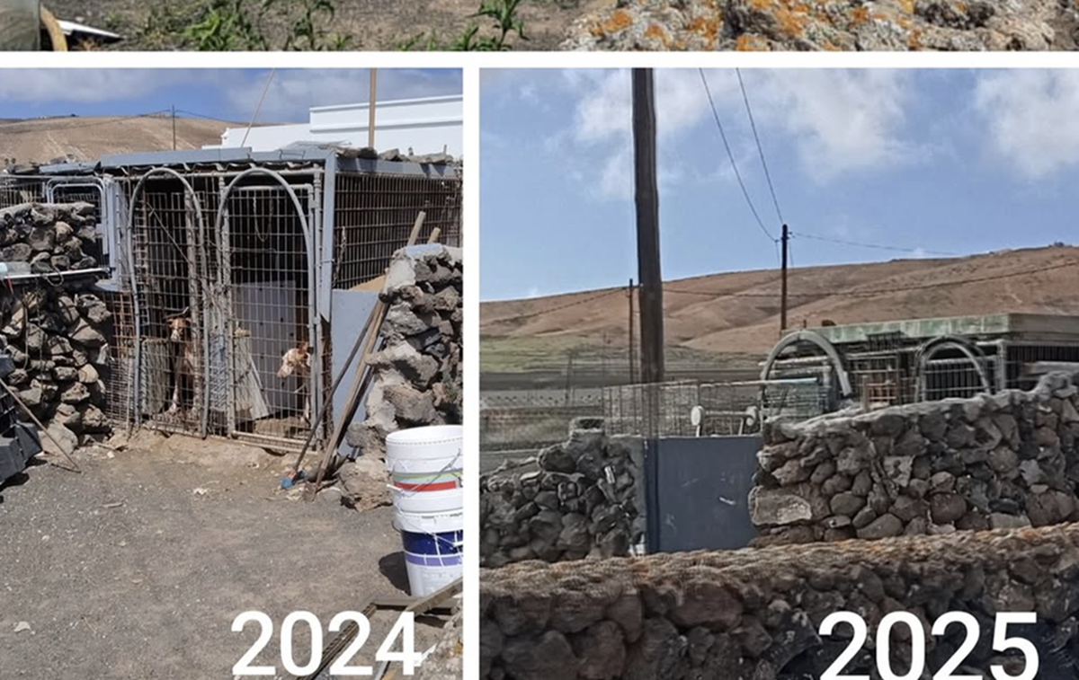 Evolución de las jaulas donde se encuentran los podencos en Los Valles
