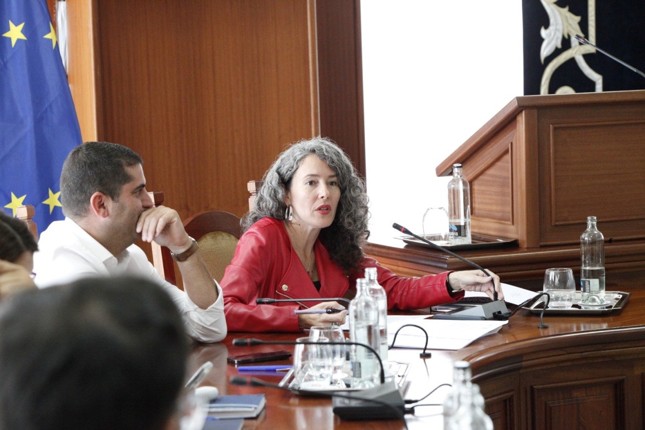 Ariagona González, portavoz del PSOE