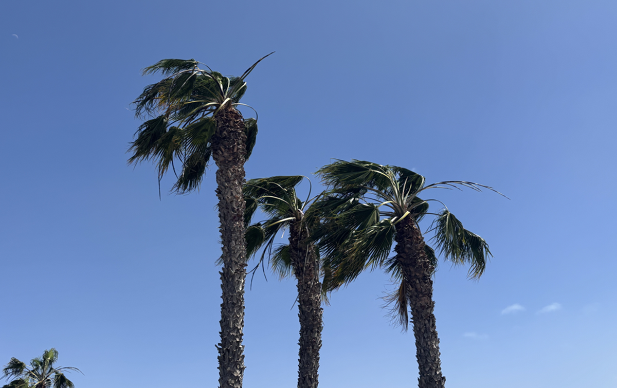 Wind in Lanzarote. Photo: Michael Valdivia