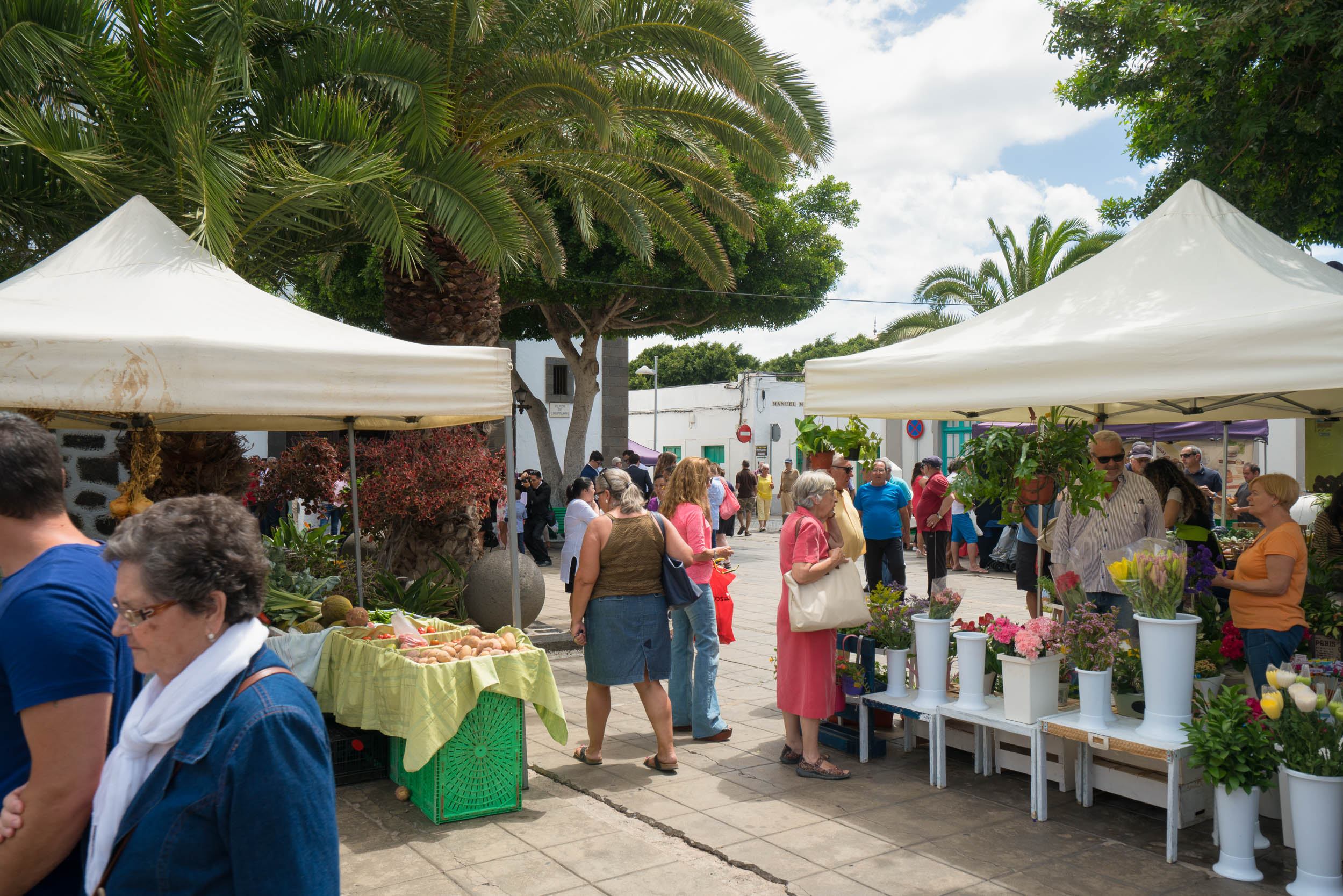 Mercado en Arrecife, zona comercial abierta. Ayudas. Comercio.
