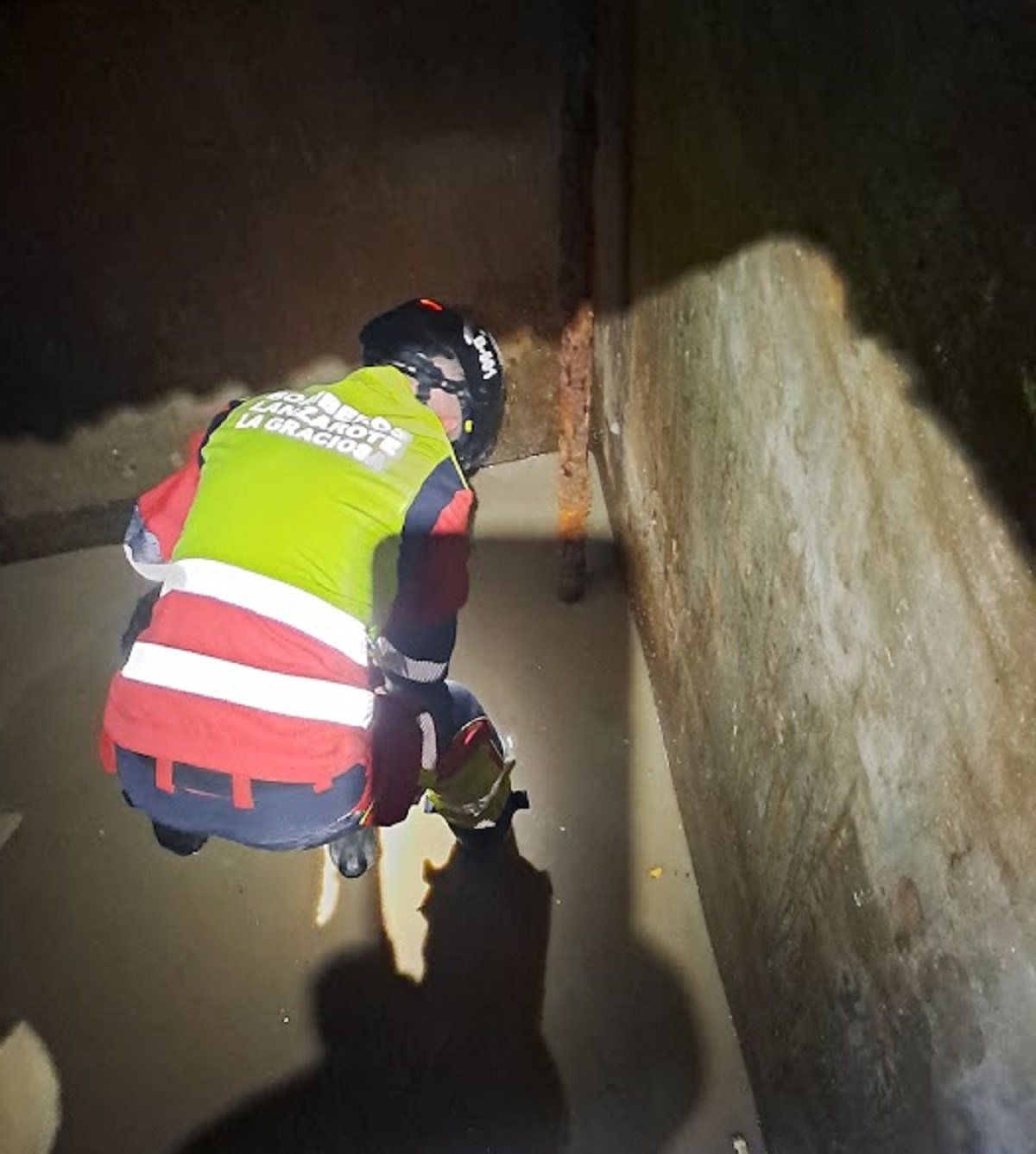 Bomberos rescatan a un animal en un aljibe