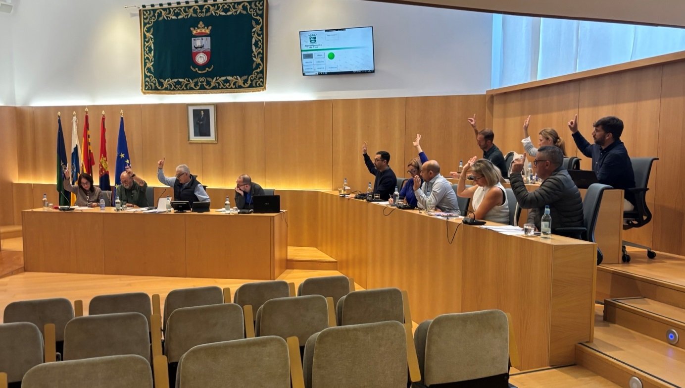 Pleno del Ayuntamiento de Tías