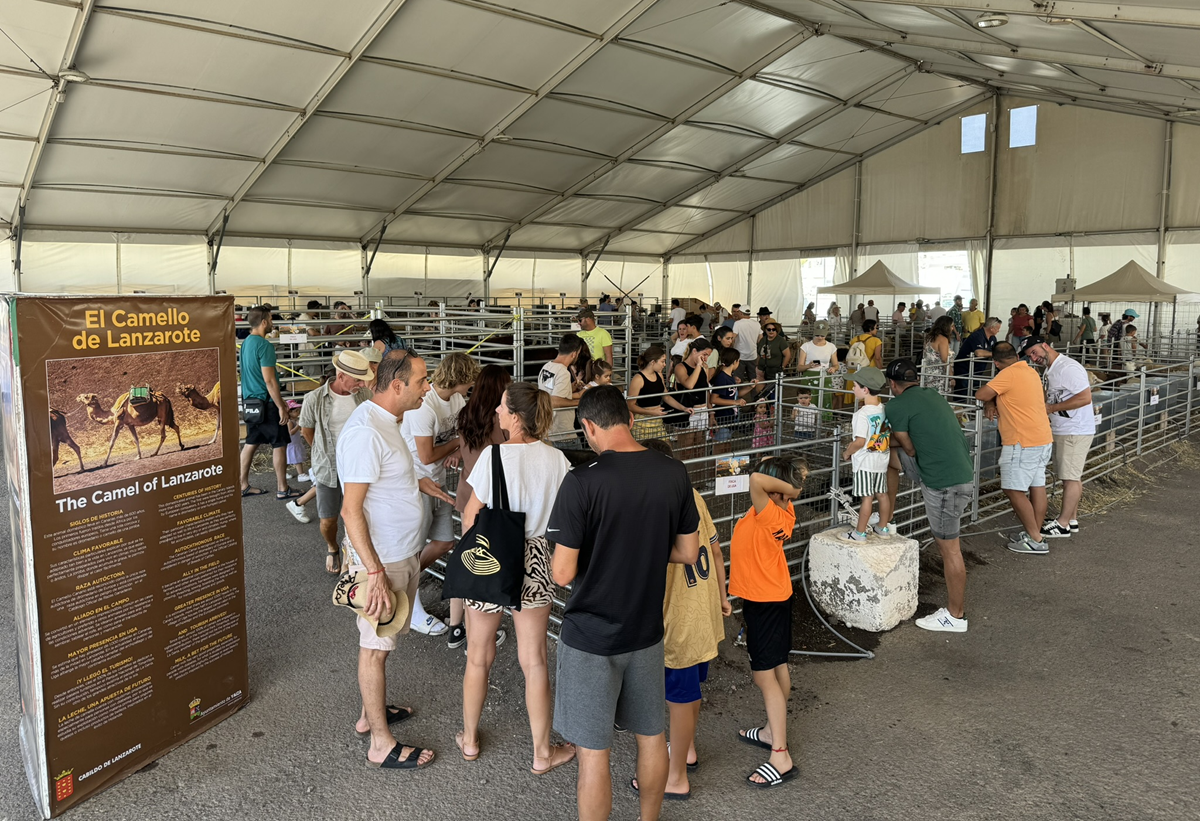 Feria Insular de Ganado