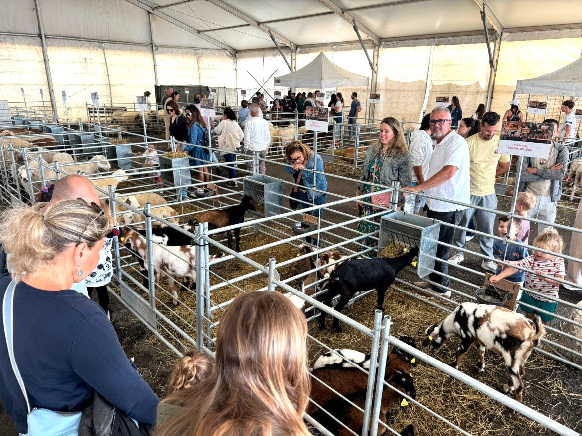Feria Insular de Ganado de Uga