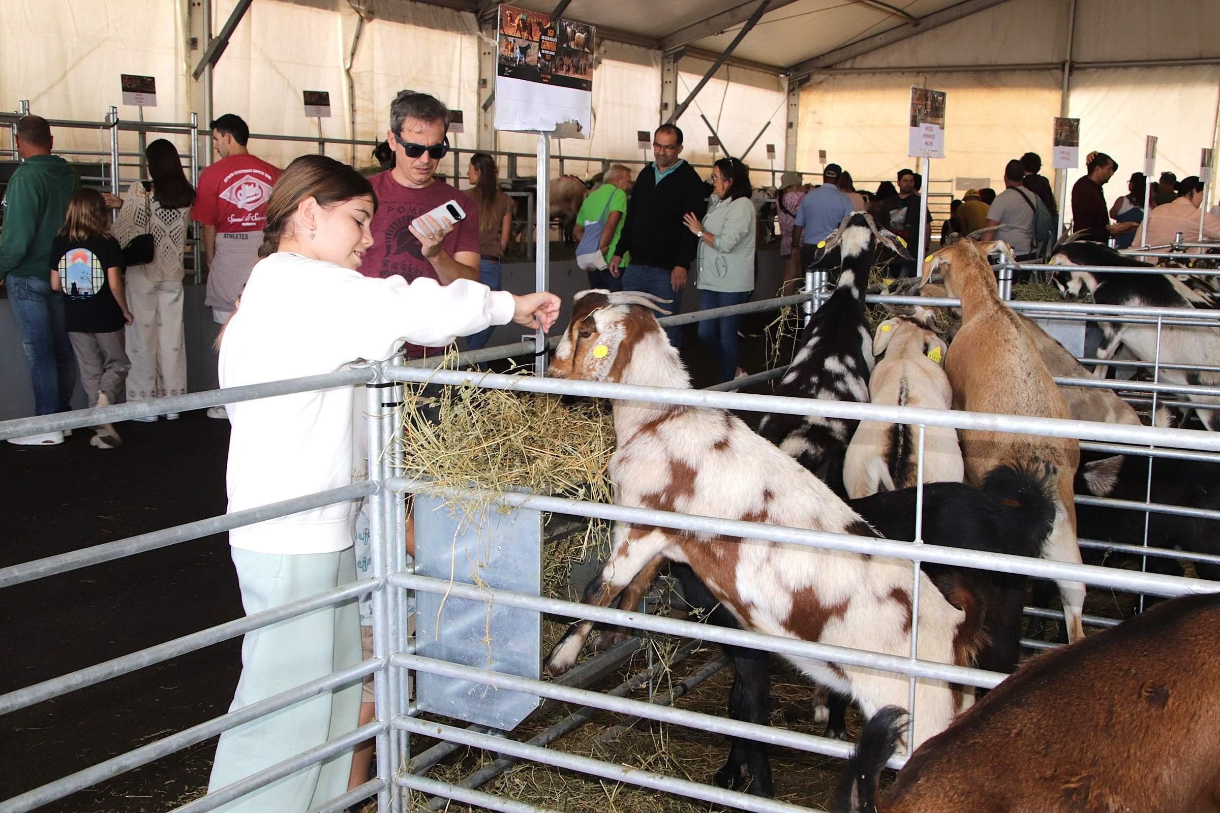 Feria Insular de Ganado de Uga