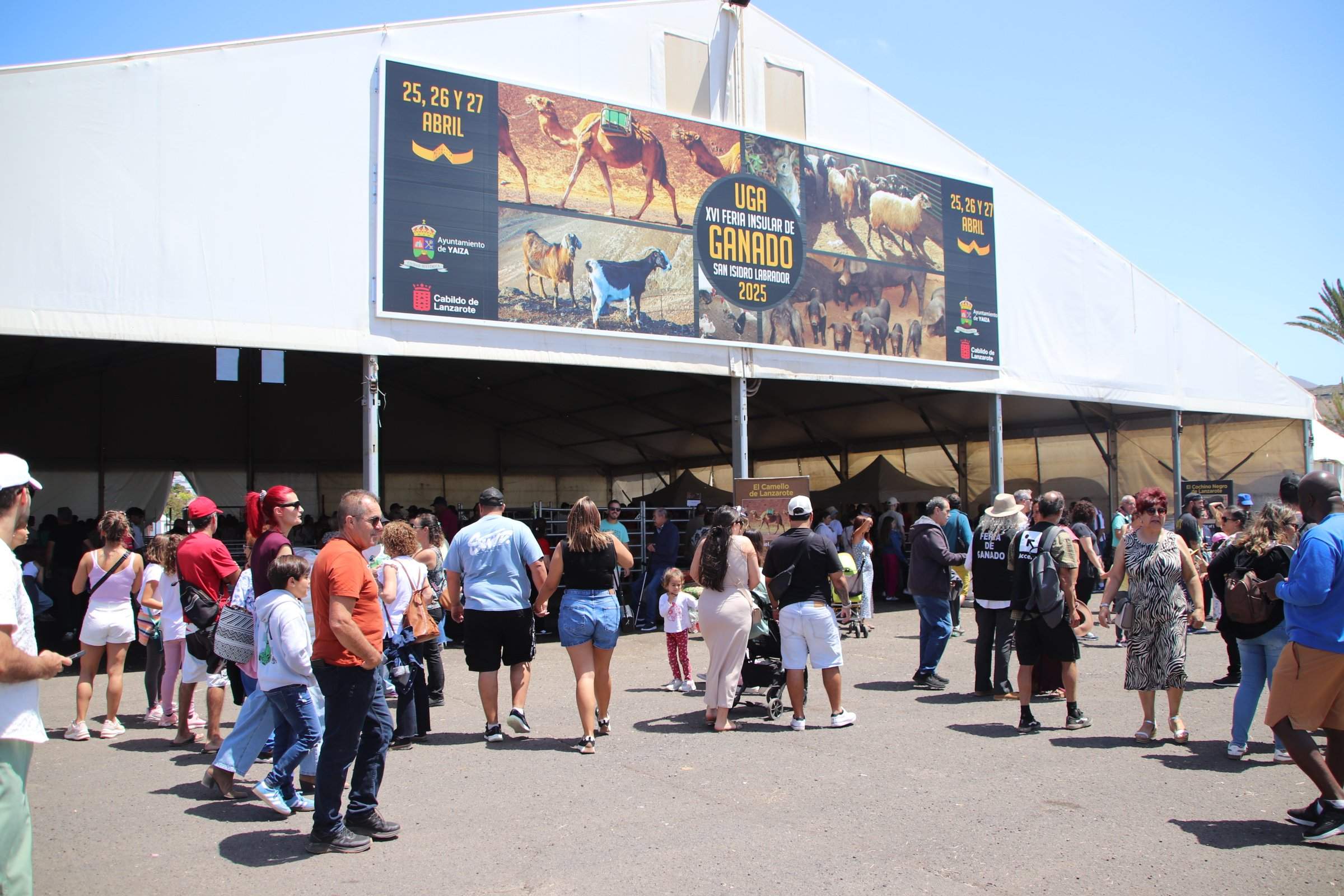 Feria Insular de Ganado de Uga