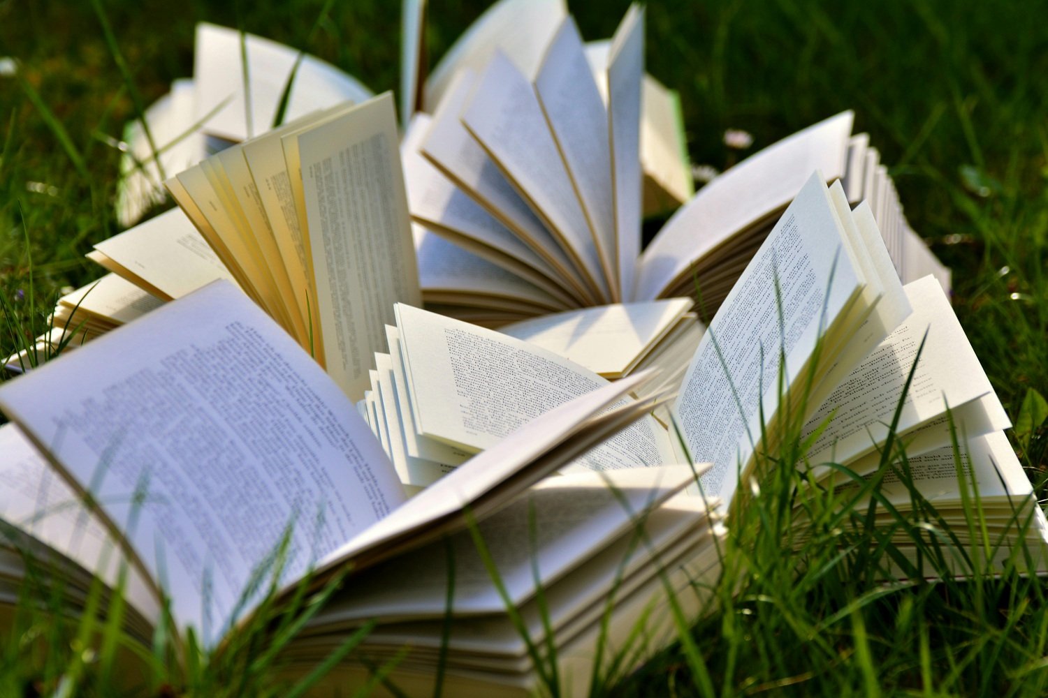 Comienza la Feria del Libro de Lanzarote. Cultura. 
