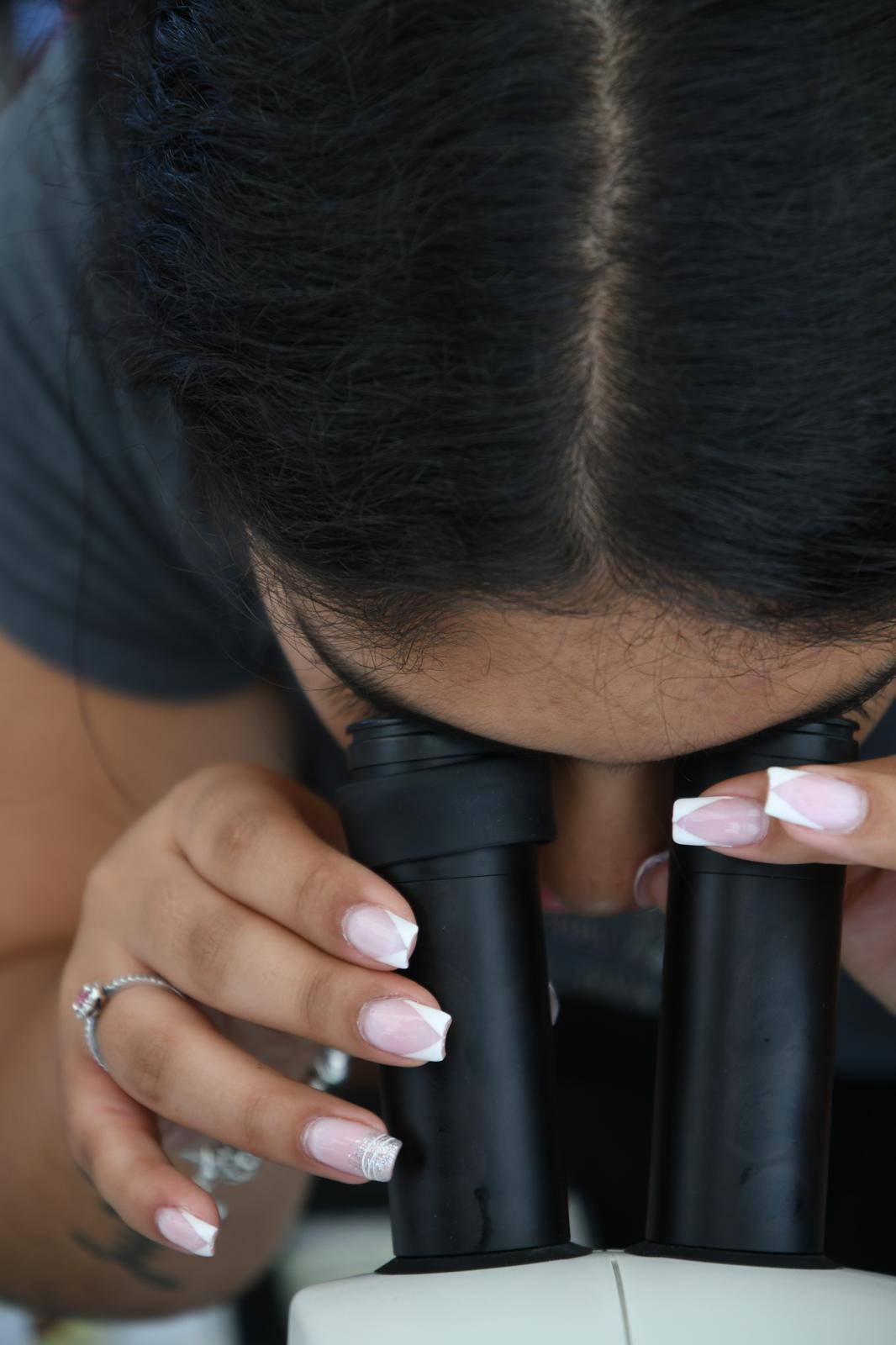 Miniferia de Lanzarote 2025