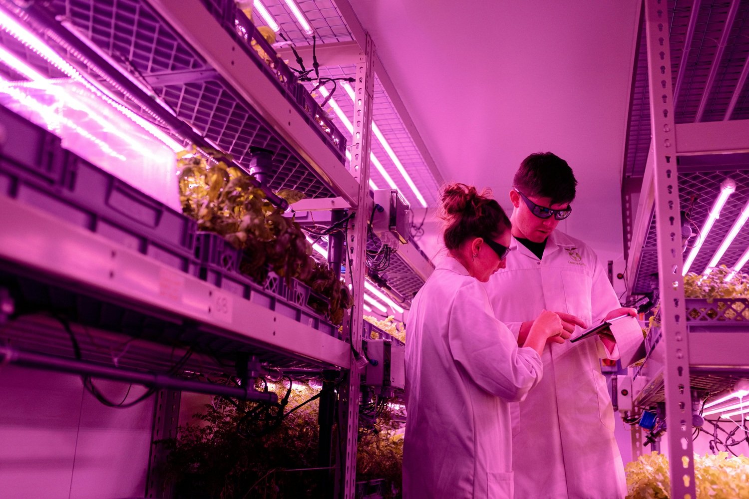 Empresa agrícola altamente tecnológica. Competitividad.