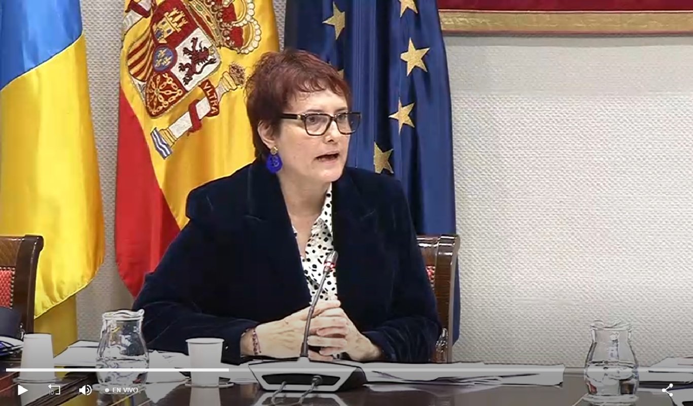 Candelaria Delgado en un momento de la Comisión celebrada este viernes.