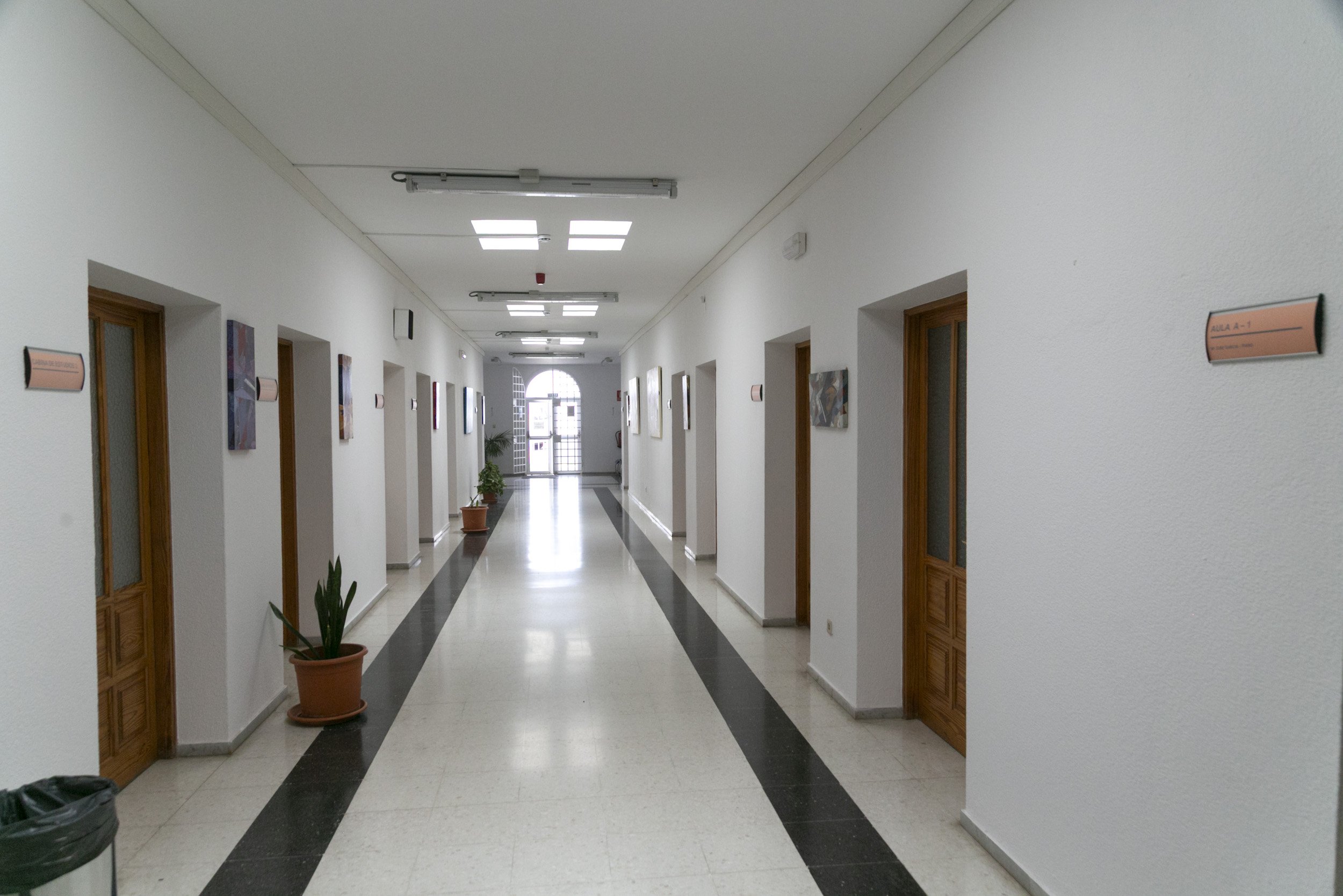 Centro Insular de Enseñanzas Musicales (CIEM) (Fotos: Juan Mateos) Centro Insular de Enseñanzas Musicales (CIEM) (Fotos: Juan Mateos)