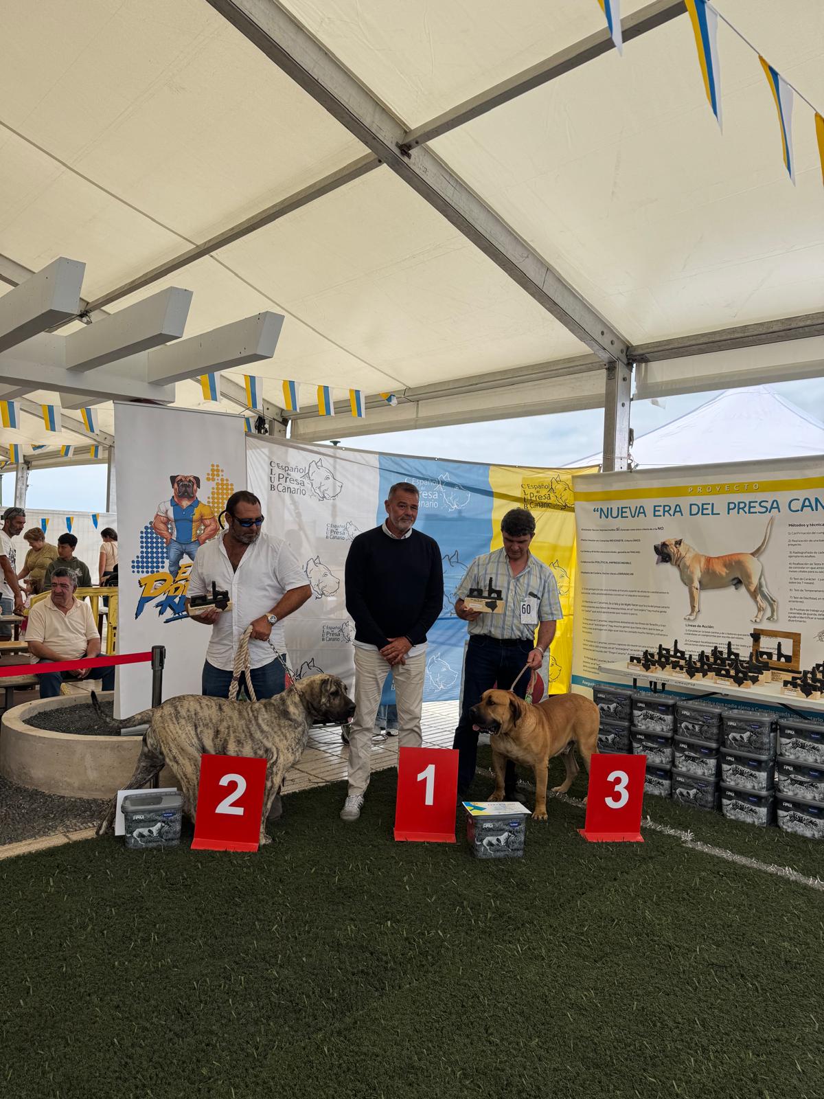 Club Lanzaroteño del Presa Canario Club Lanzaroteño del Presa Canario