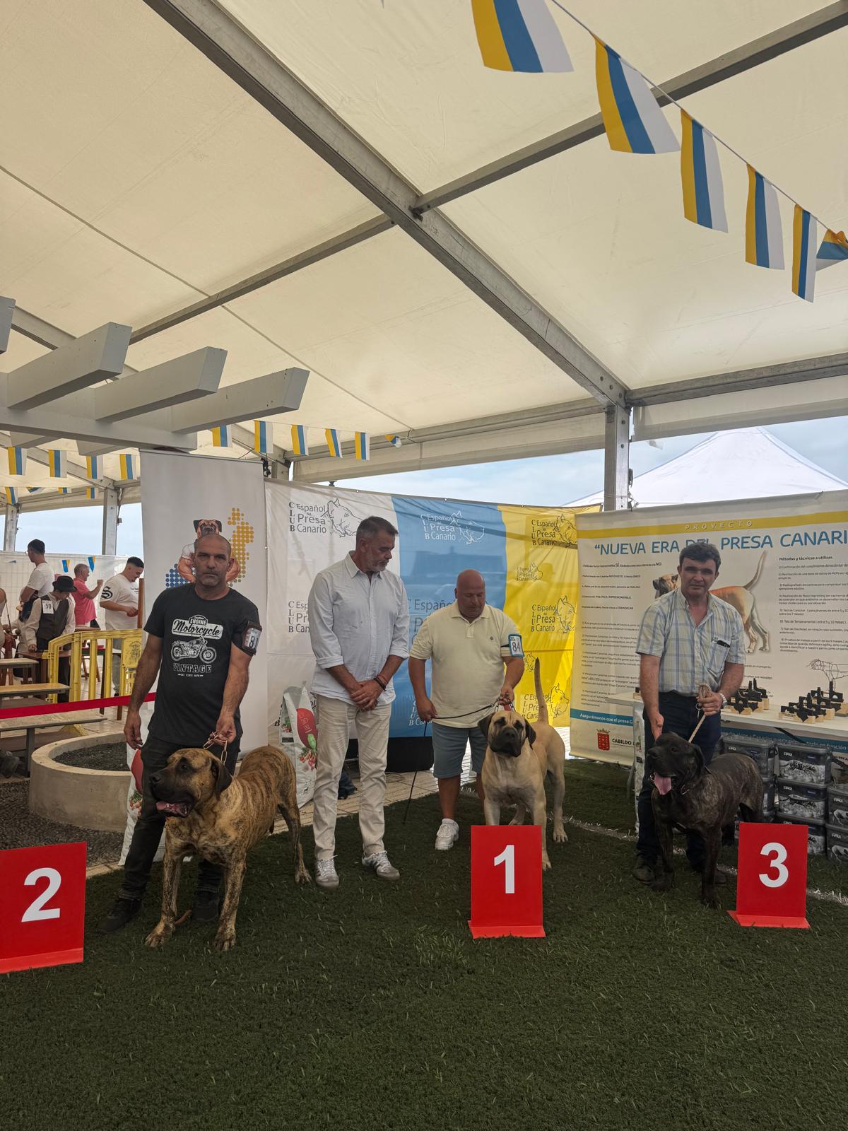 Club Lanzaroteño del Presa Canario Club Lanzaroteño del Presa Canario