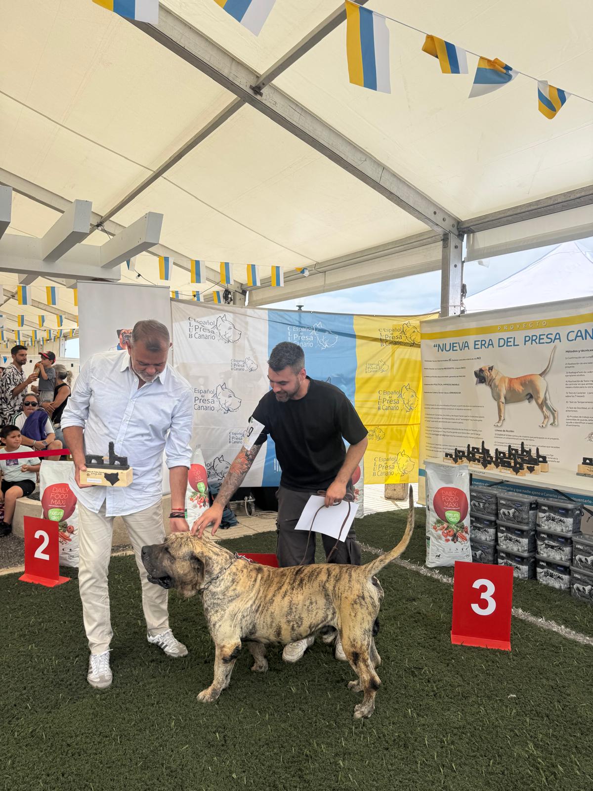 Club Lanzaroteño del Presa Canario Club Lanzaroteño del Presa Canario