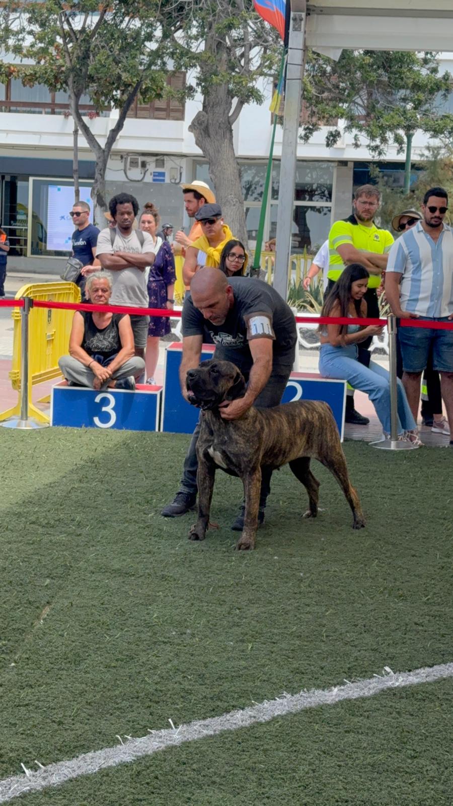 Club Lanzaroteño del Presa Canario Club Lanzaroteño del Presa Canario