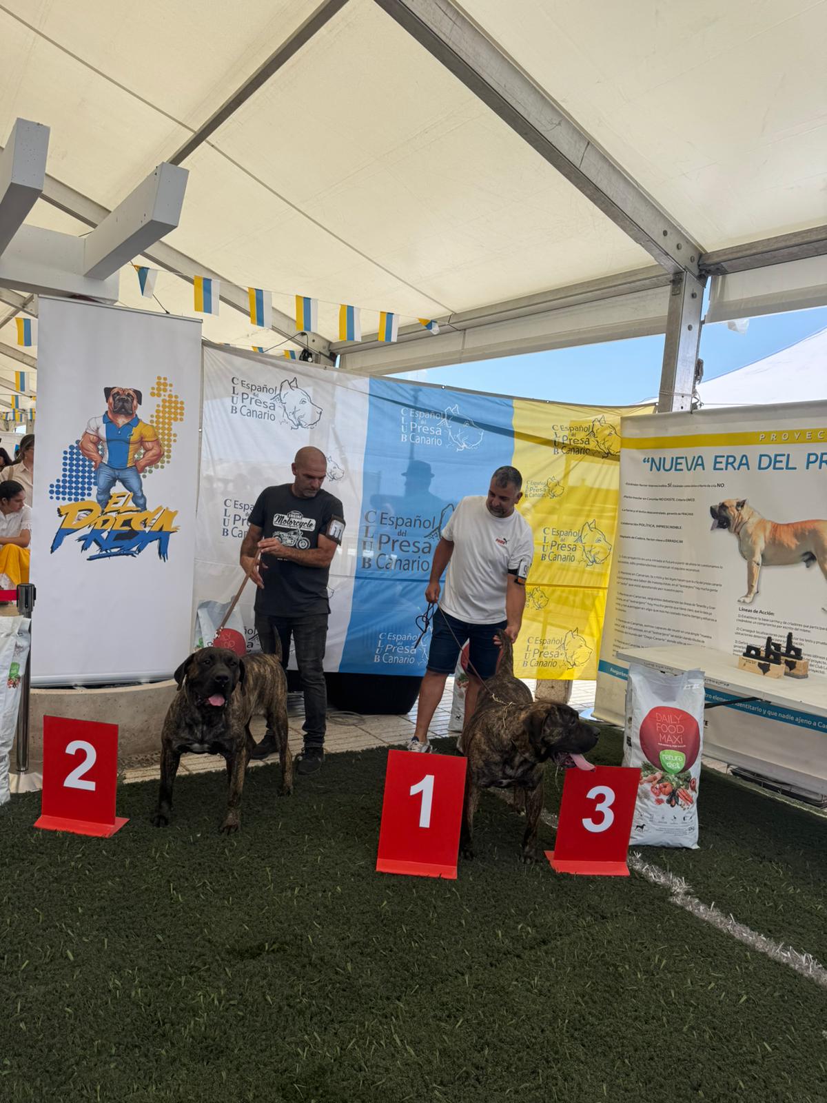 Club Lanzaroteño del Presa Canario Club Lanzaroteño del Presa Canario