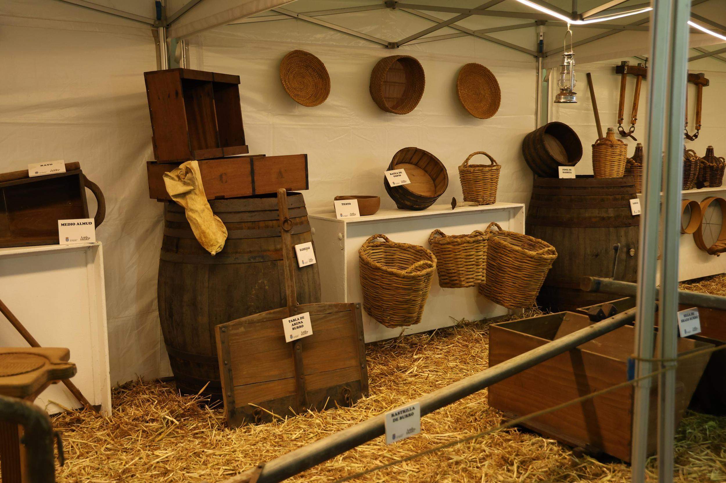 IV Feria Ganadera, Agrícola y Pesquera Teguise 2025. Fotos: La Voz.