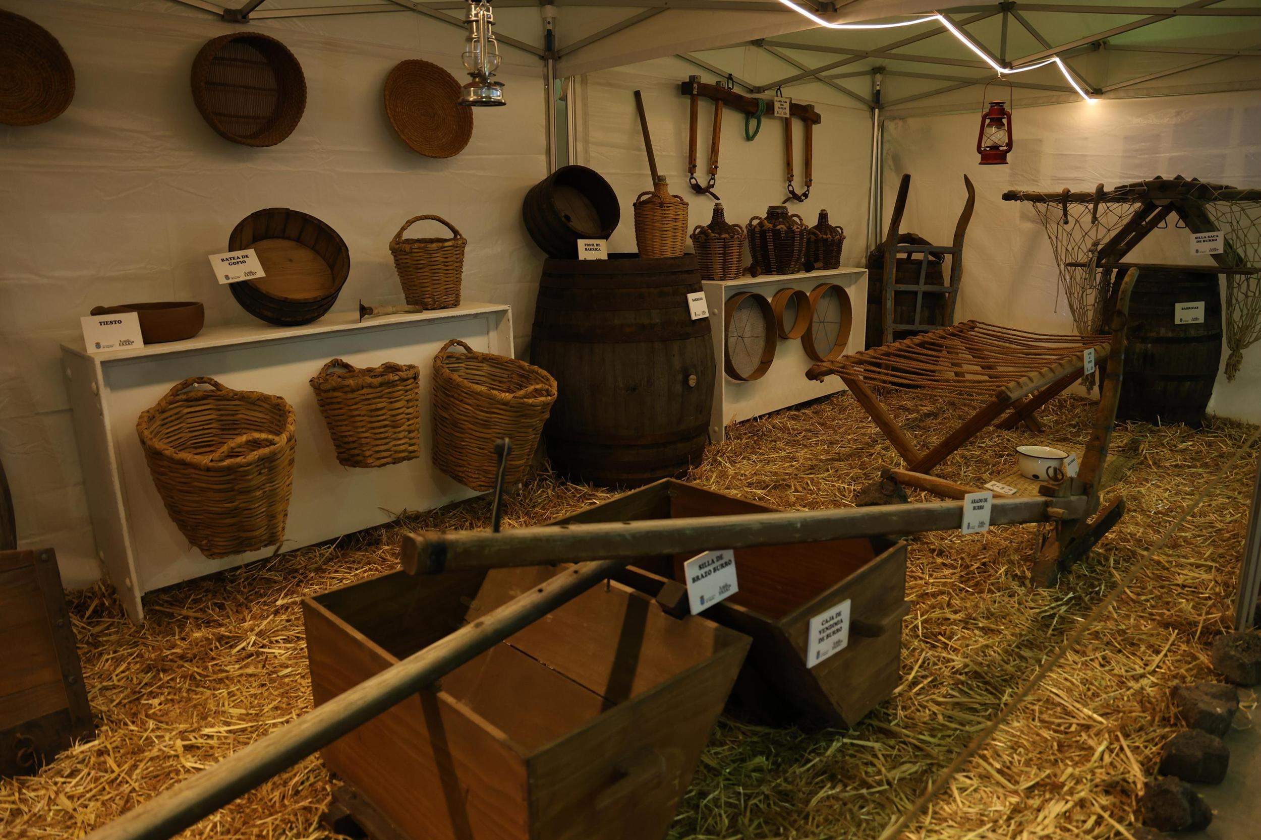 IV Feria Ganadera, Agrícola y Pesquera Teguise 2025. Fotos: La Voz.