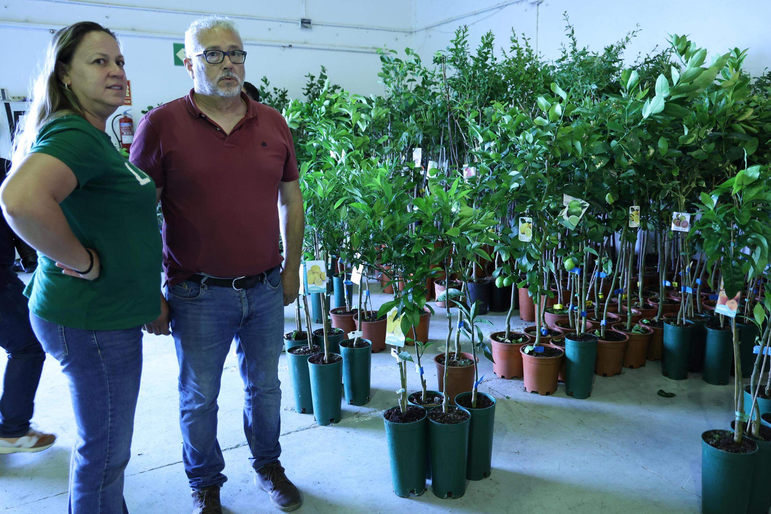 IV Feria Ganadera, Agrícola y Pesquera Teguise 2025. Fotos: La Voz.