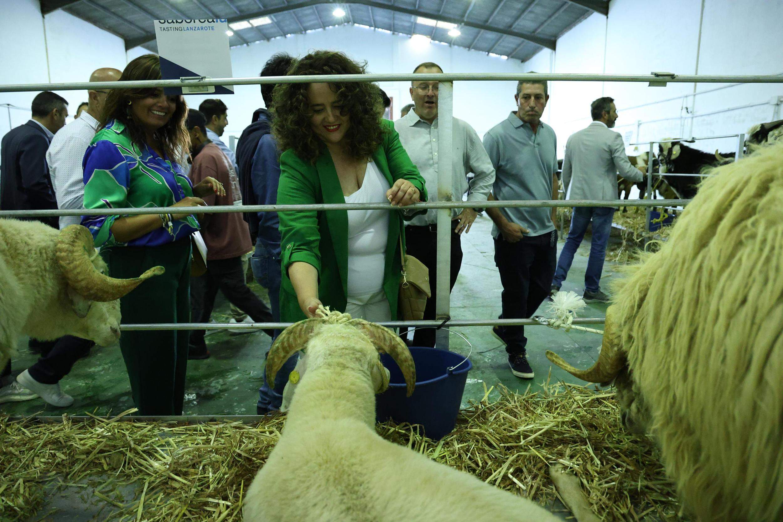 IV Feria Ganadera, Agrícola y Pesquera Teguise 2025. Fotos: La Voz.