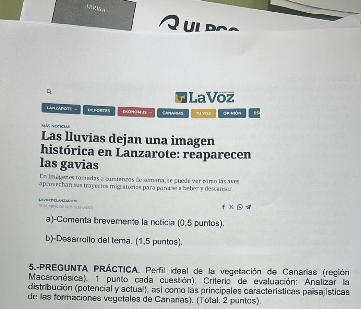 Las lluvias hacen reaparecer las gavias en la PAU