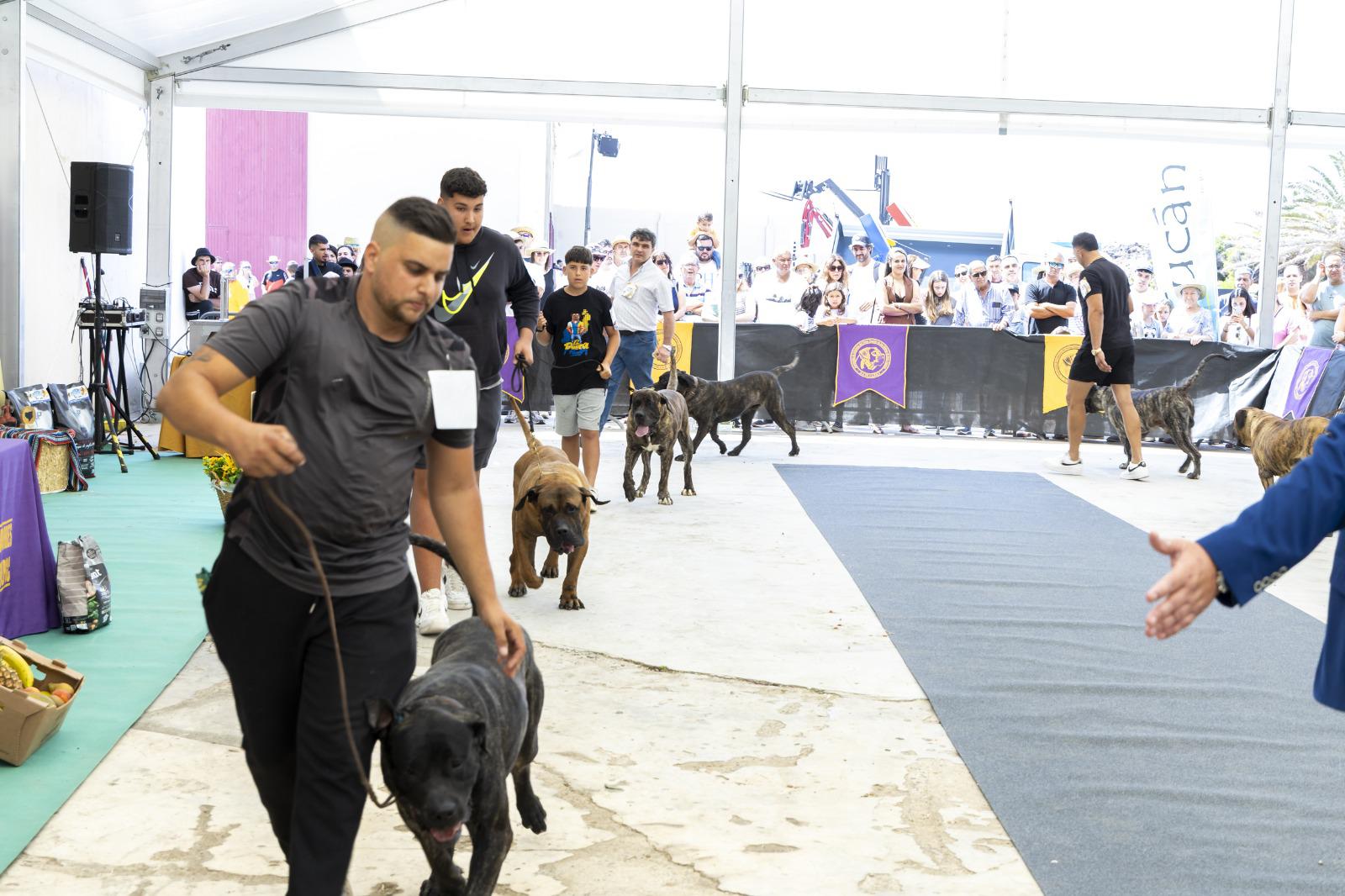 IV Feria de Agricultura, Ganadería y Pesca de Teguise IV Feria de Agricultura, Ganadería y Pesca de Teguise