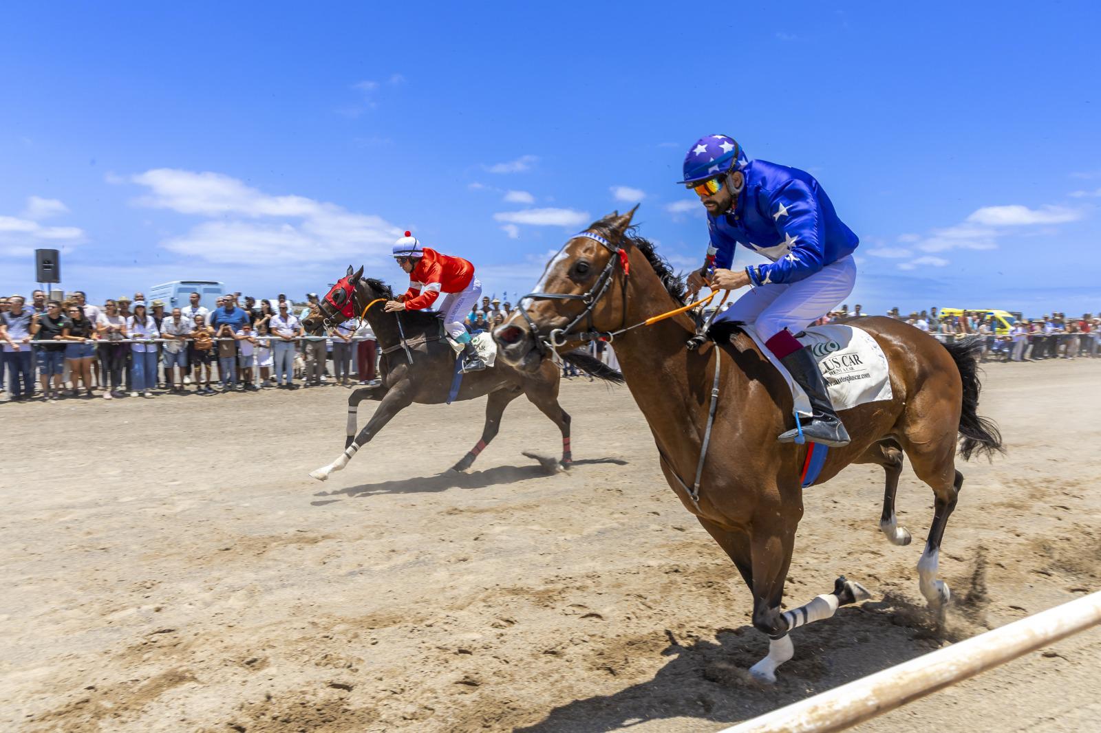IV Feria de Agricultura, Ganadería y Pesca de Teguise IV Feria de Agricultura, Ganadería y Pesca de Teguise