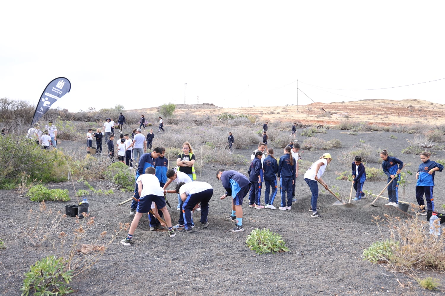 Bosque Ecopilas 2025