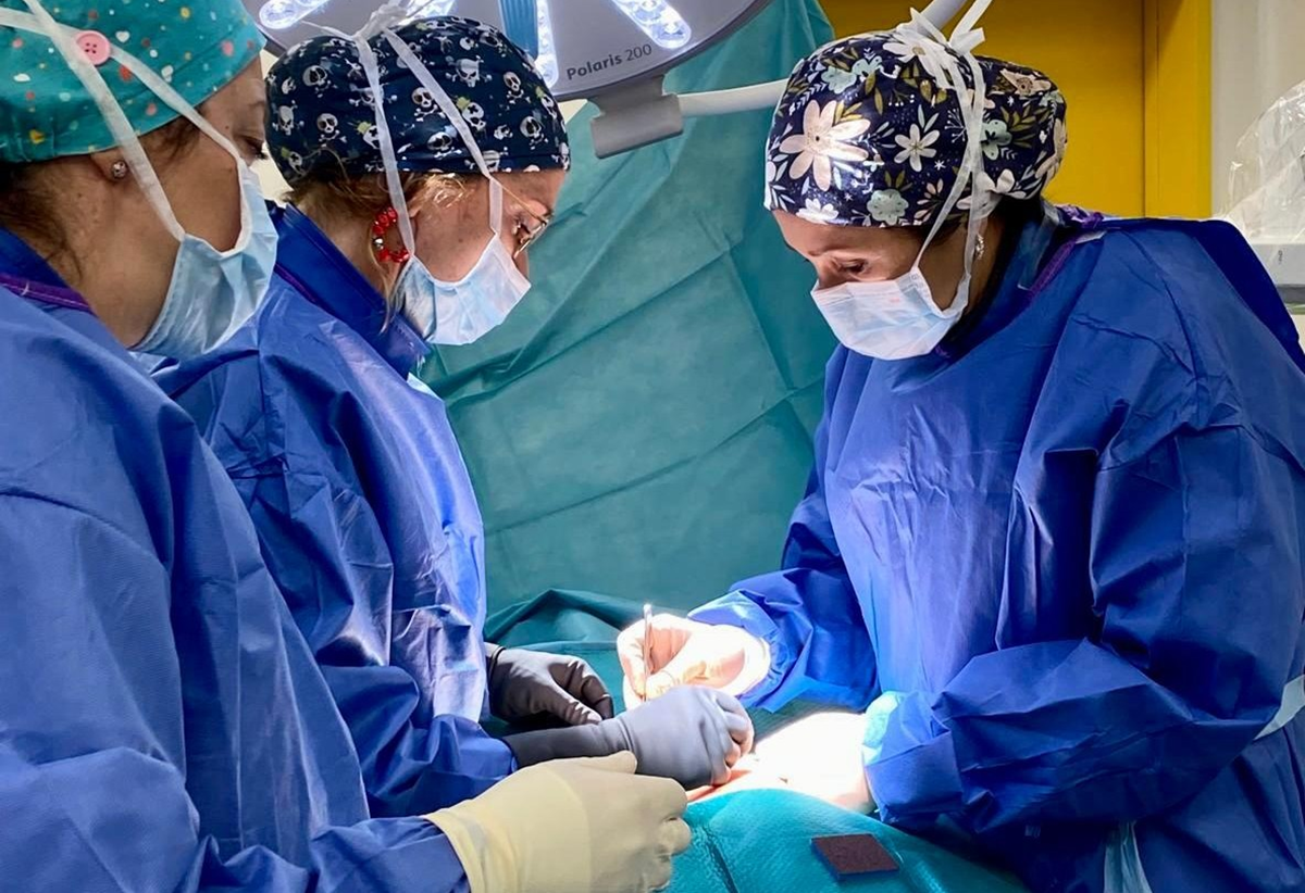 Unidad del dolor Lanzarote 1 Hf