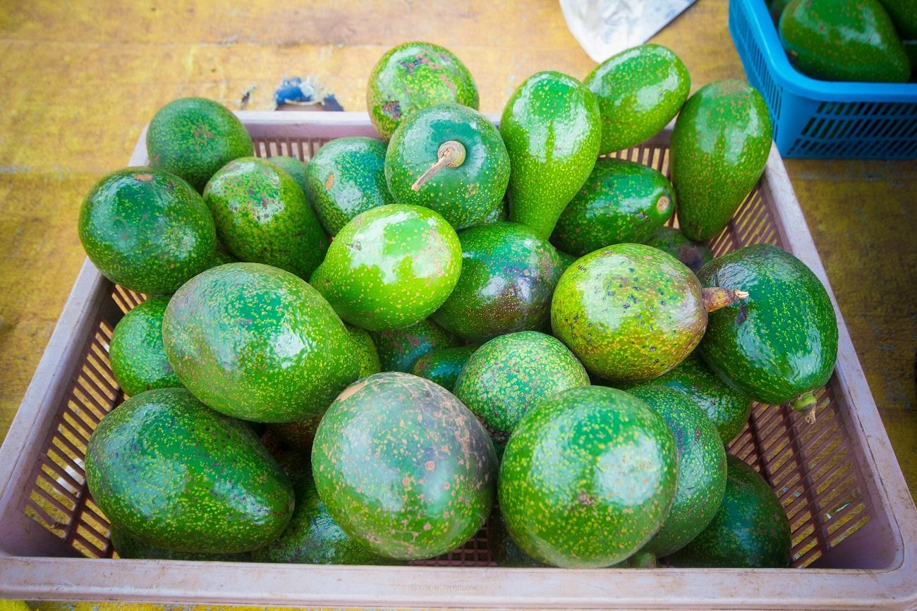 Aguacate