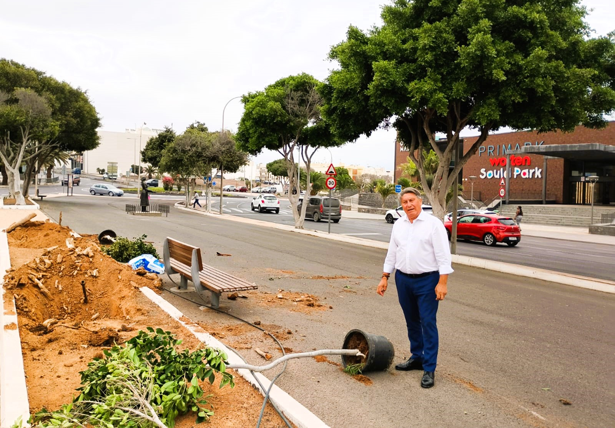 El concejal de Parques y Jardines de Arrecife, Roberto Herbón