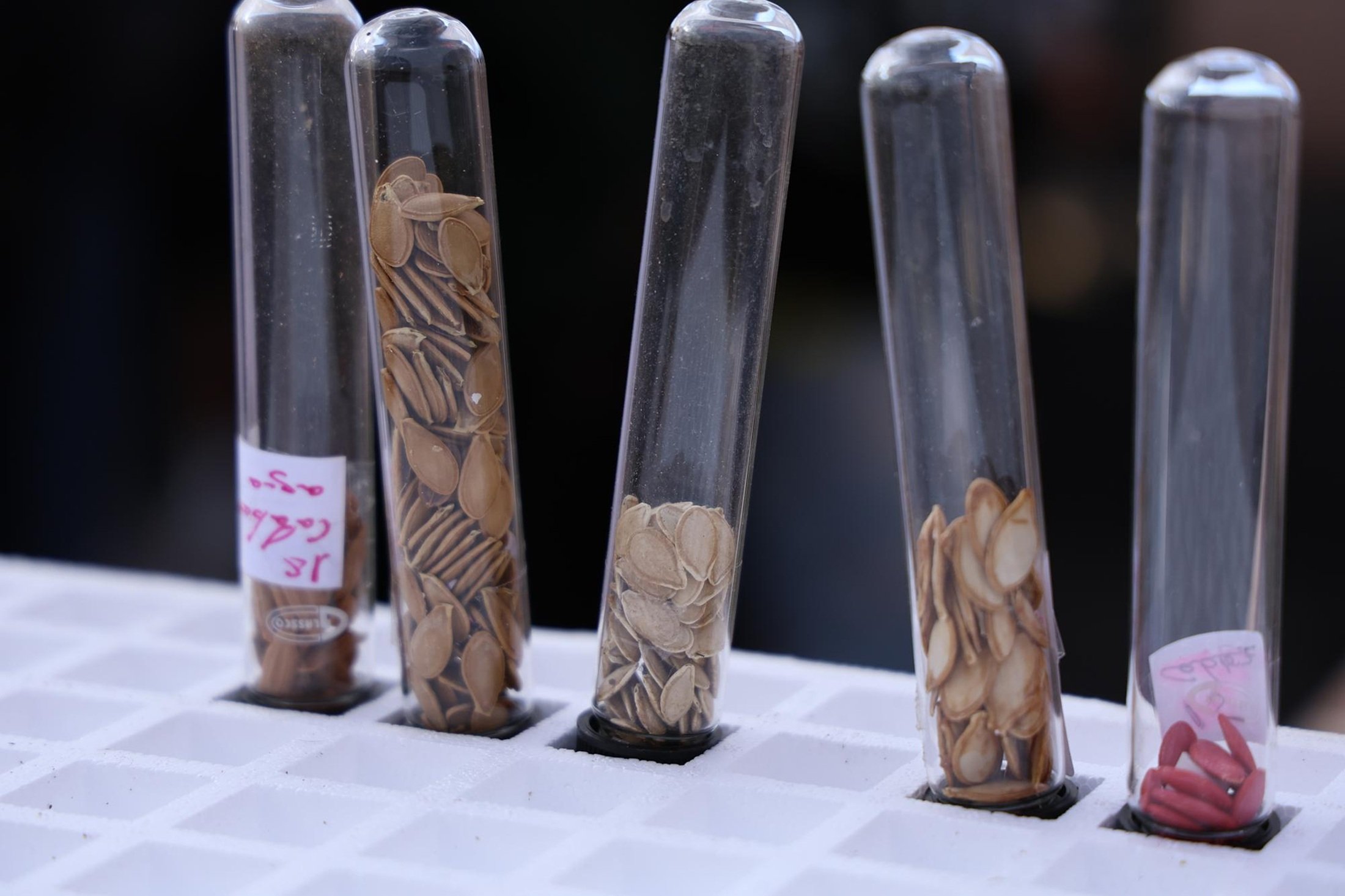 JORNADAS GRANJA AGRÍCOLA, VISITA ESTUDIANTES (30)su