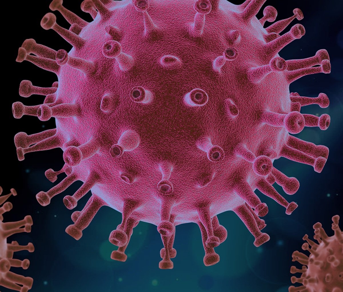virus 4937553b
