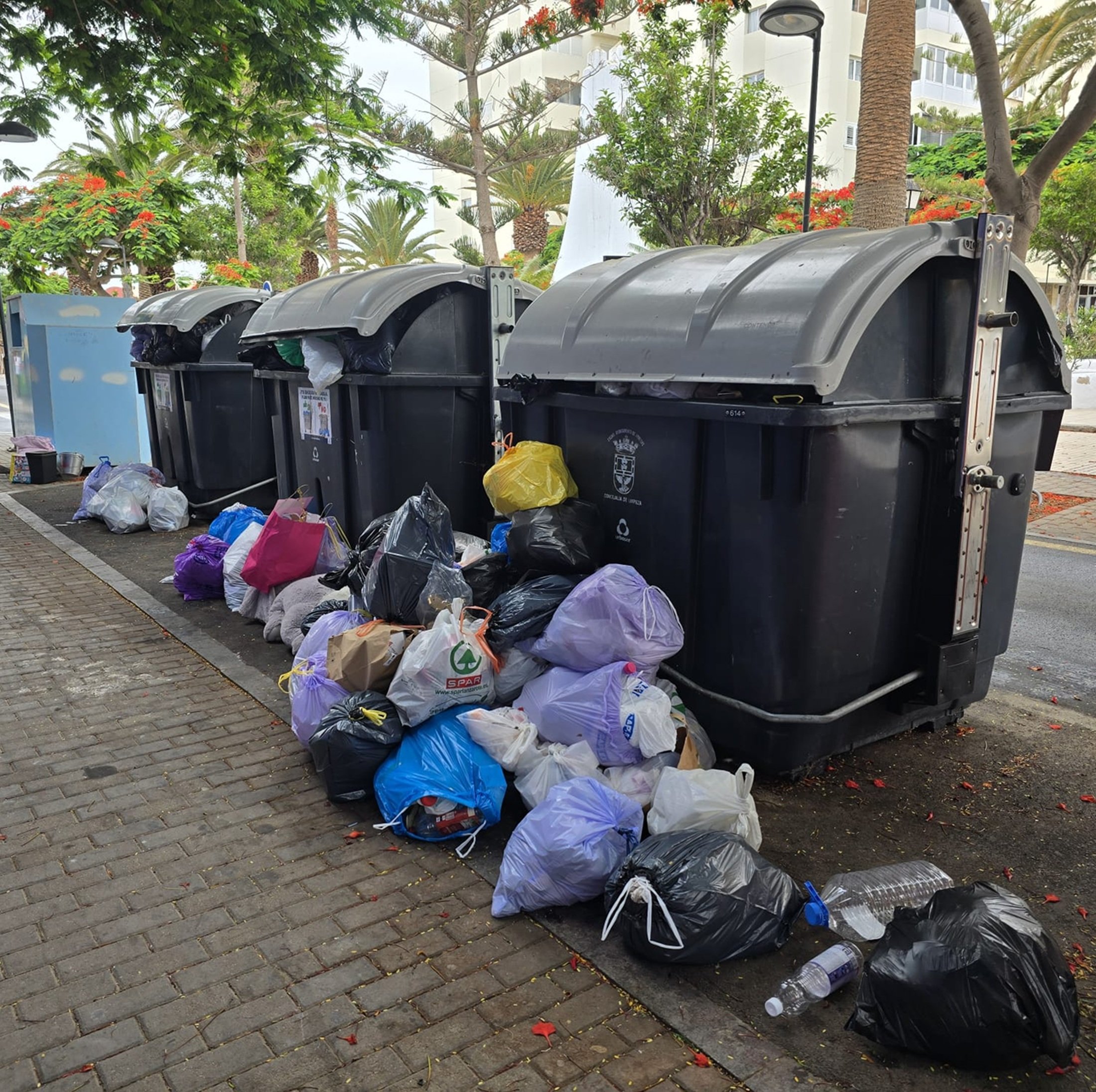 Basura junto a los contenedores en Arrecife
