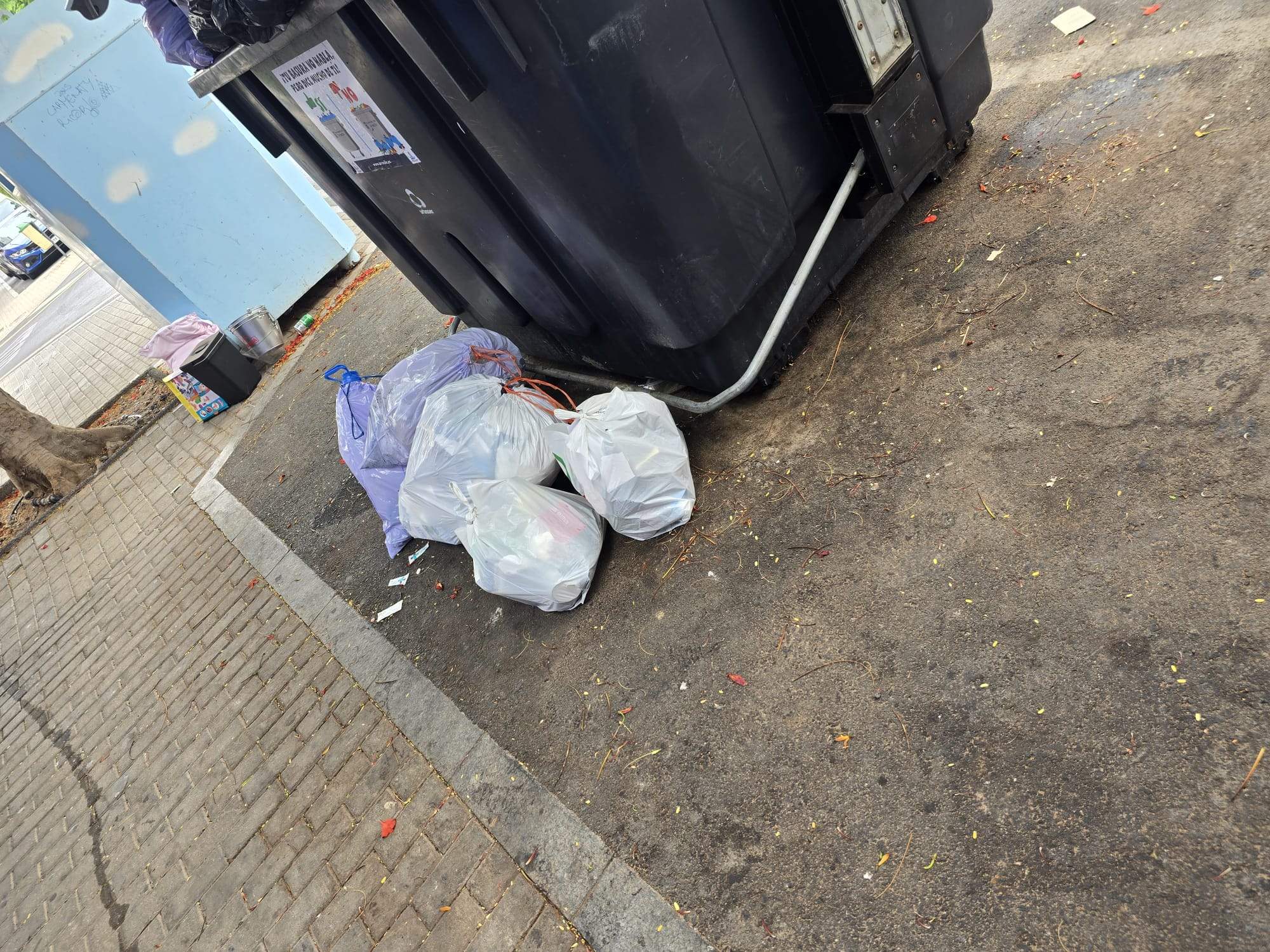 Basura junto a los contenedores en Arrecife