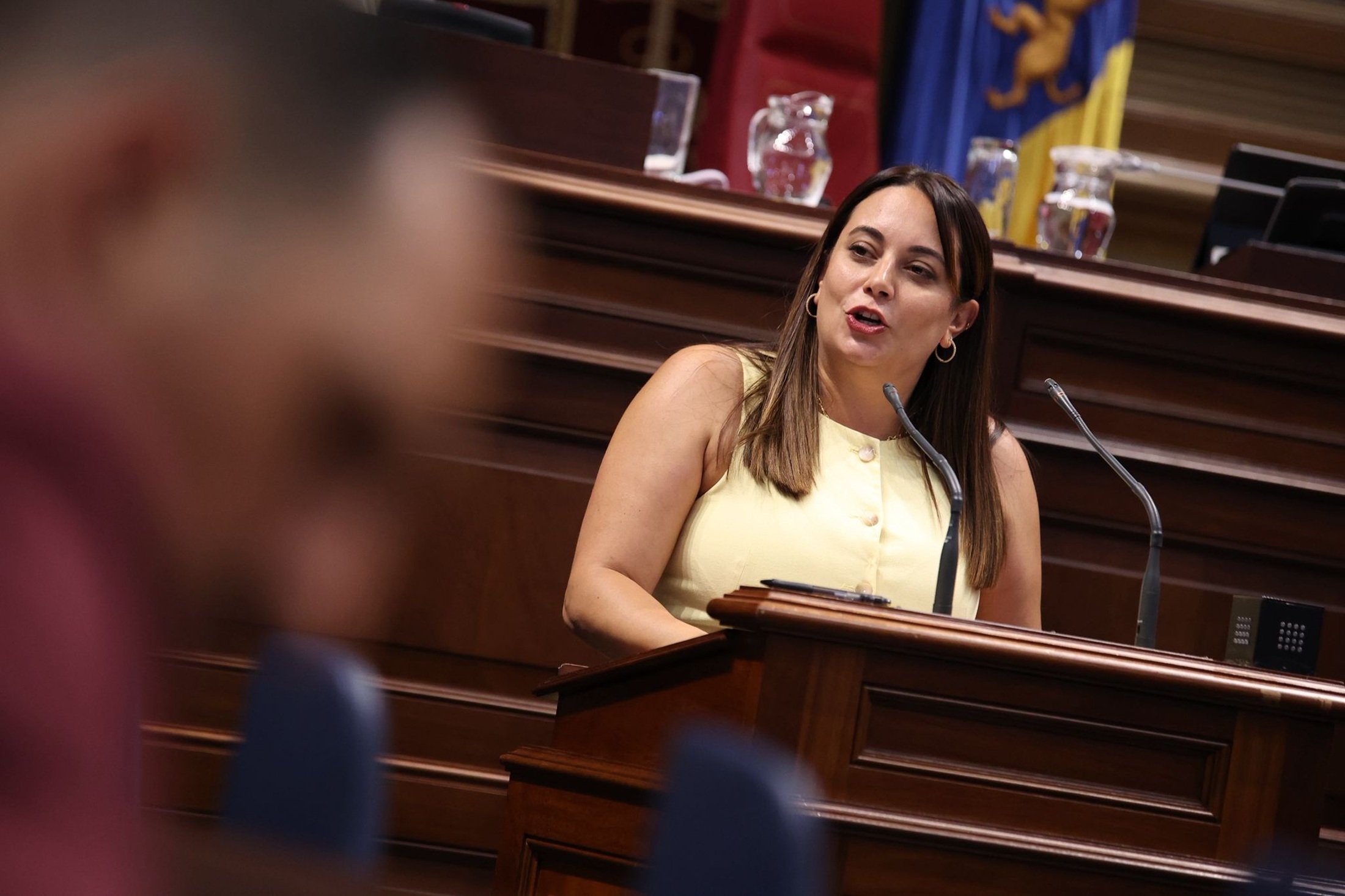Cristina Calero, diputada de Coalición Canaria