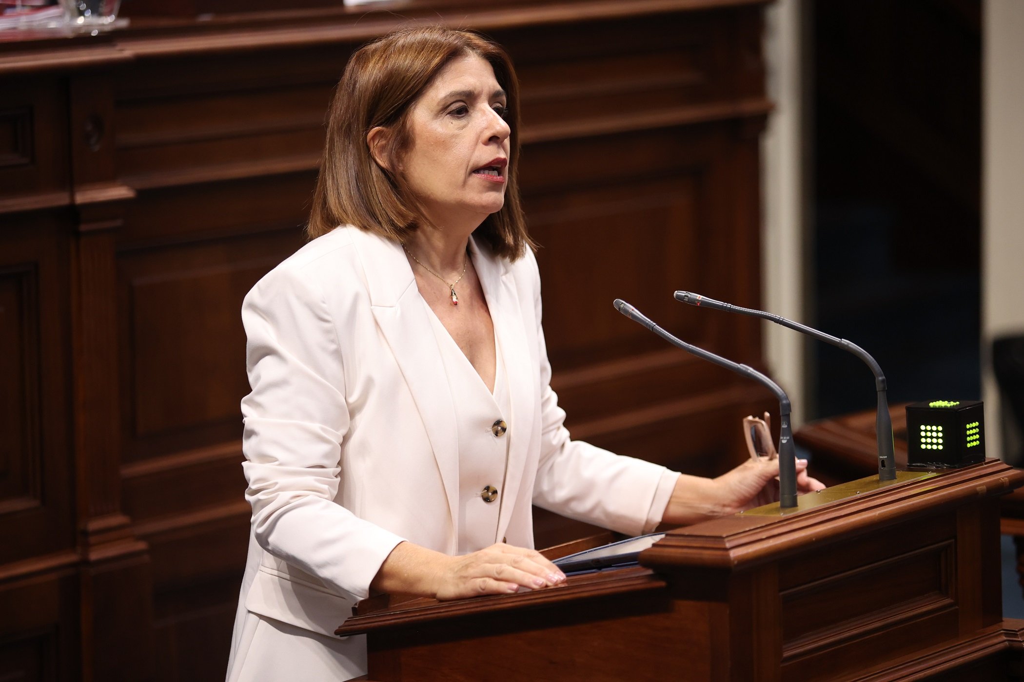 La parlamentaria de Nueva Canarias-Bloque Canarista (NC-BC) Carmen Hernández.