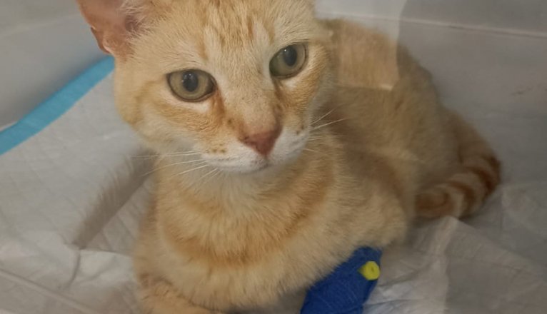 WhatsApp Image 2025 07 10 at 1.27.25 PMf