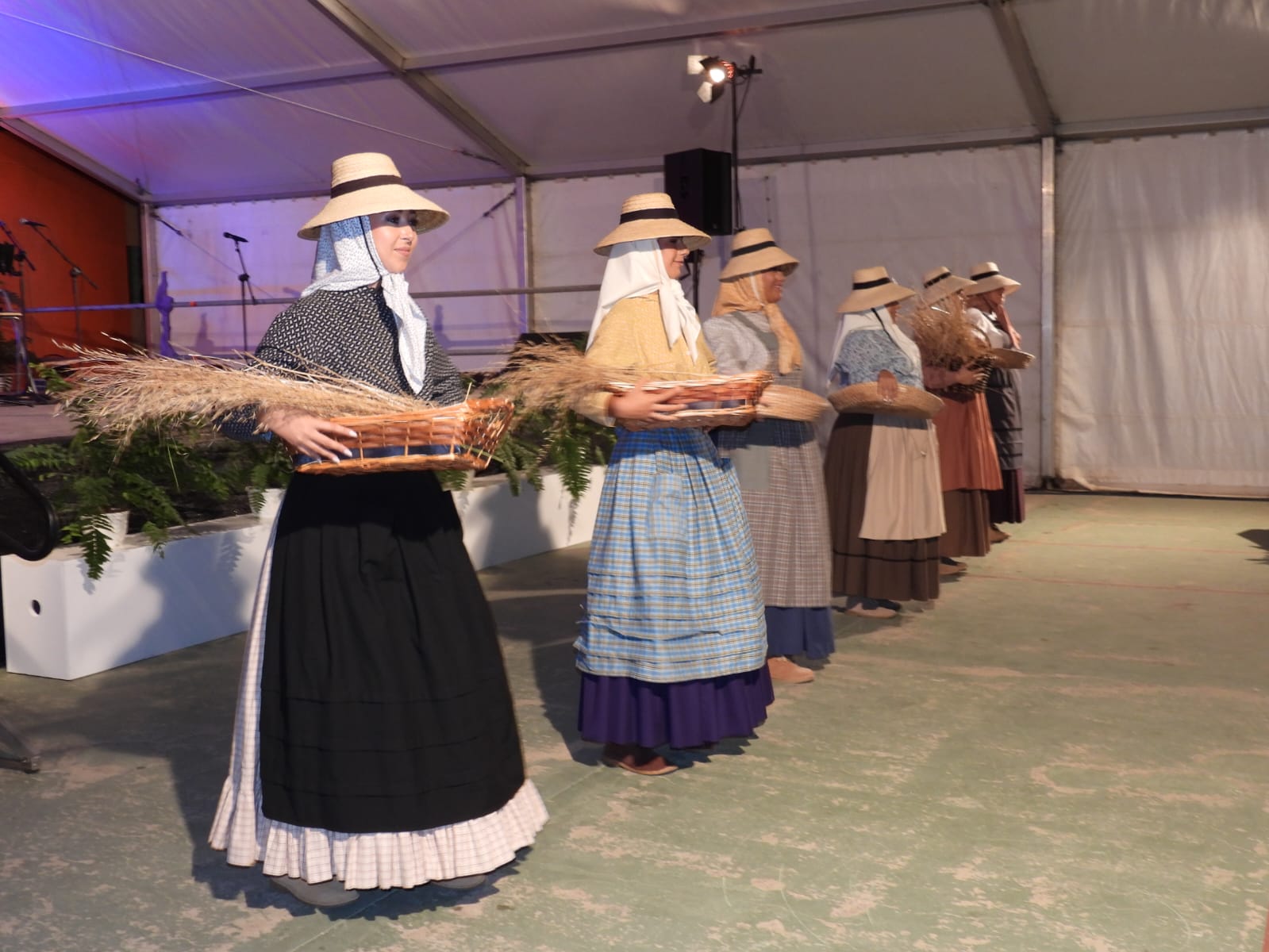 Romera Mayor de Tahíche 2025